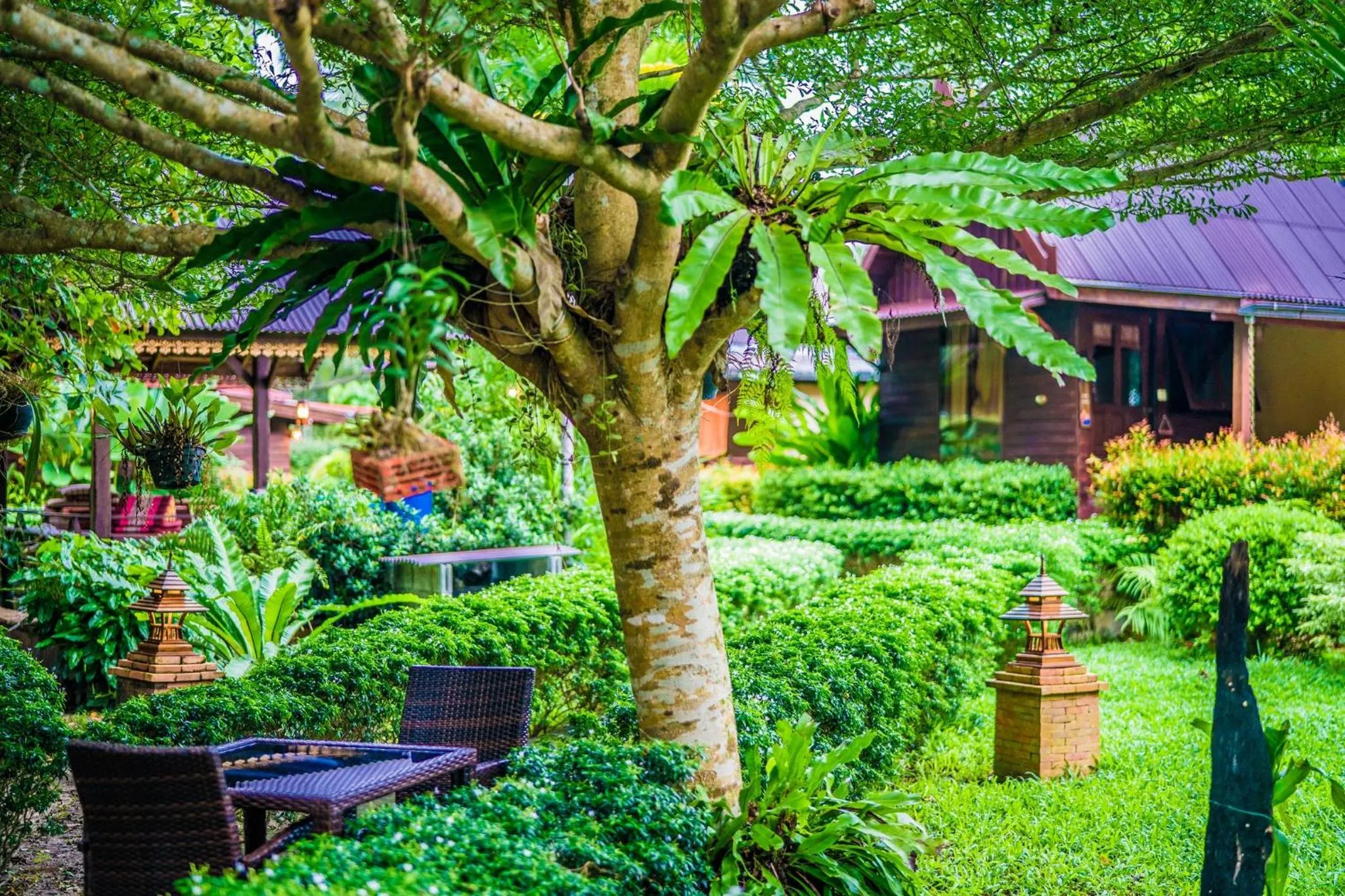 Property building in Leeloo Paradise