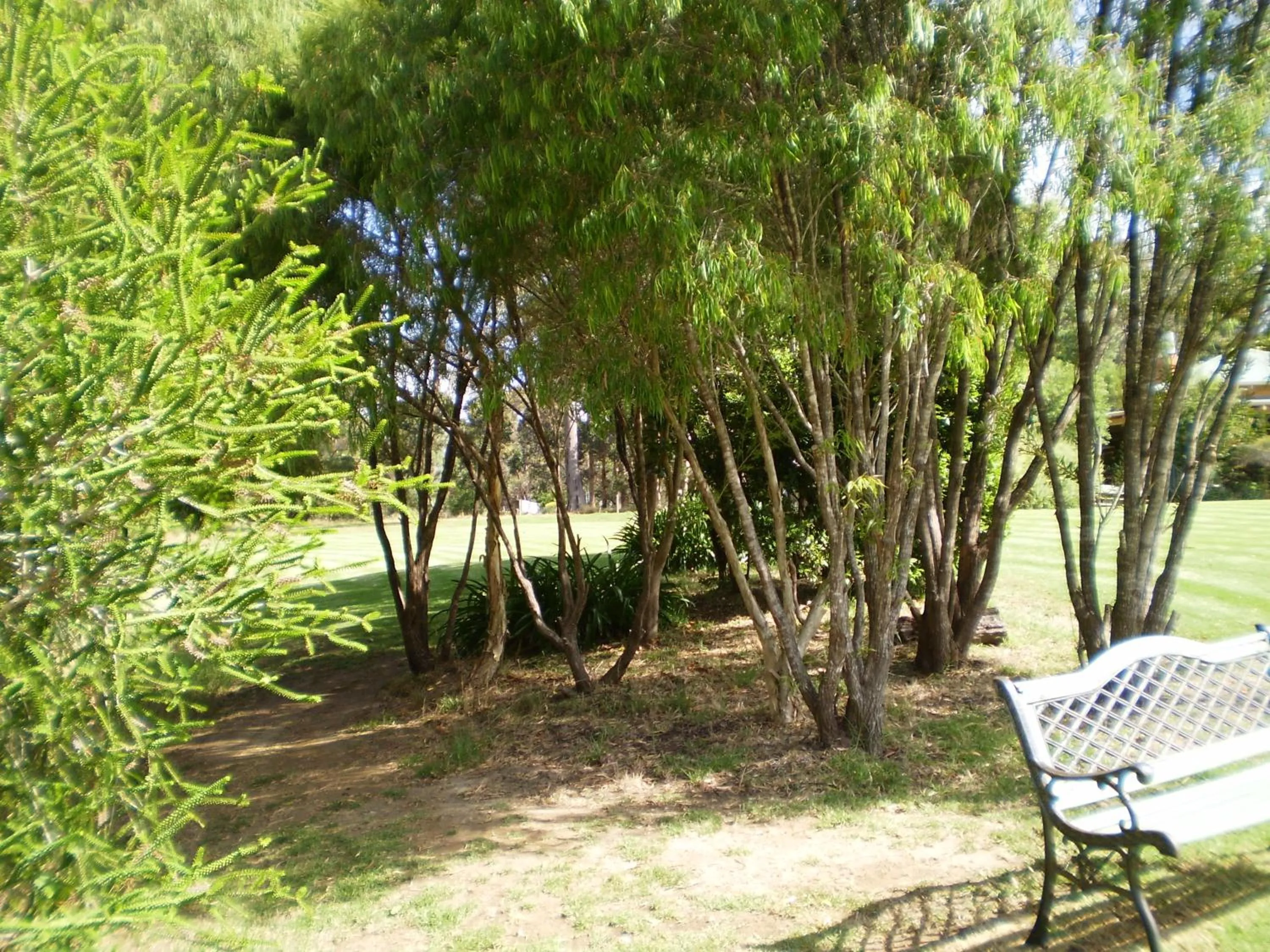 Garden in Pinda Lodge