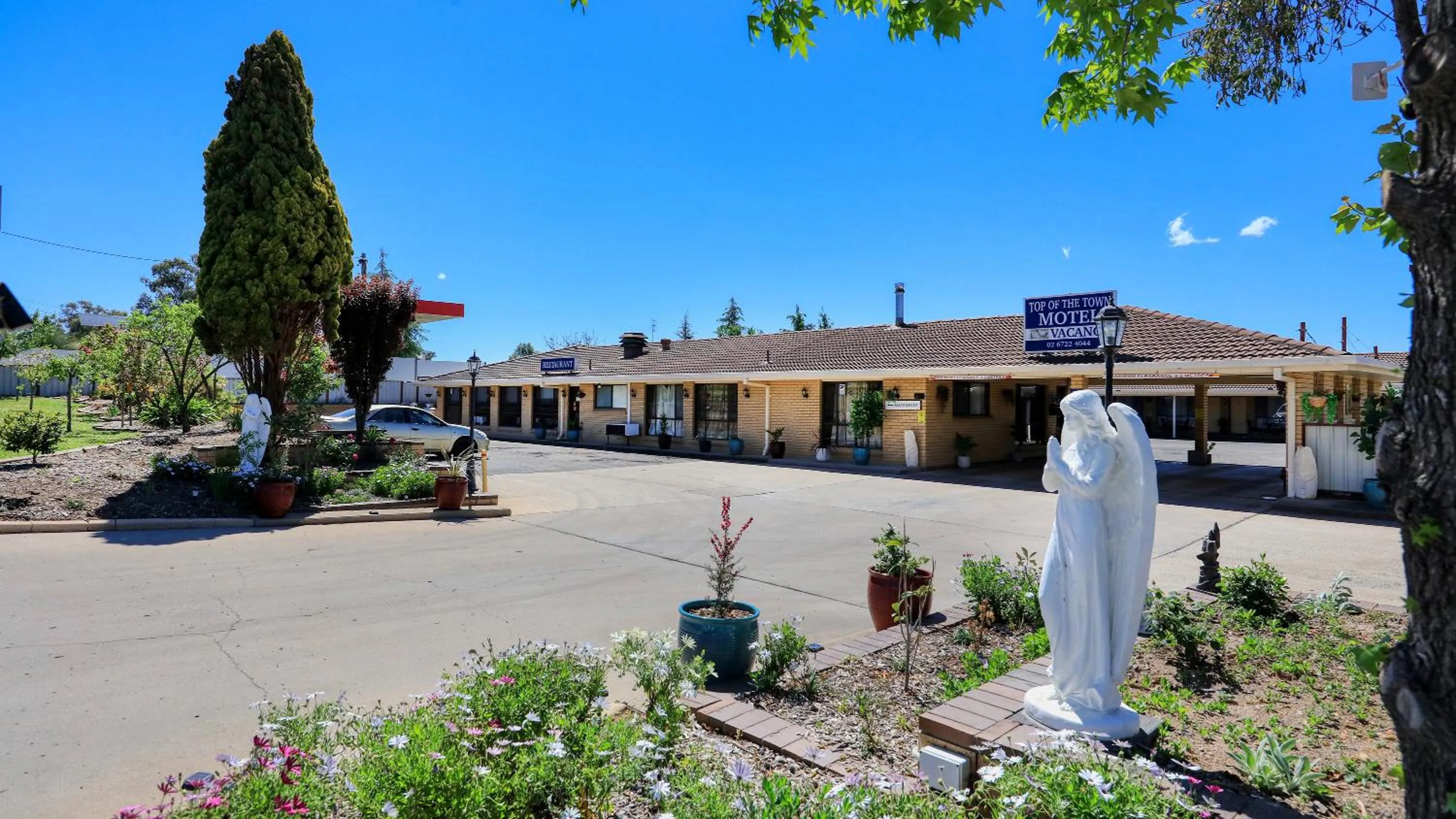 Garden in Top of the Town Motel