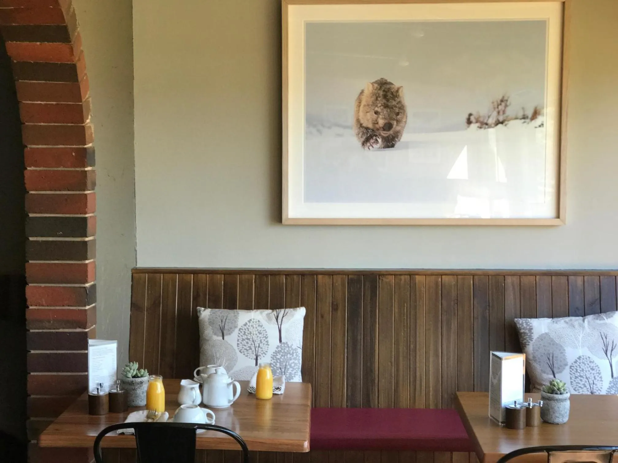 Area and facilities in Jindy Inn