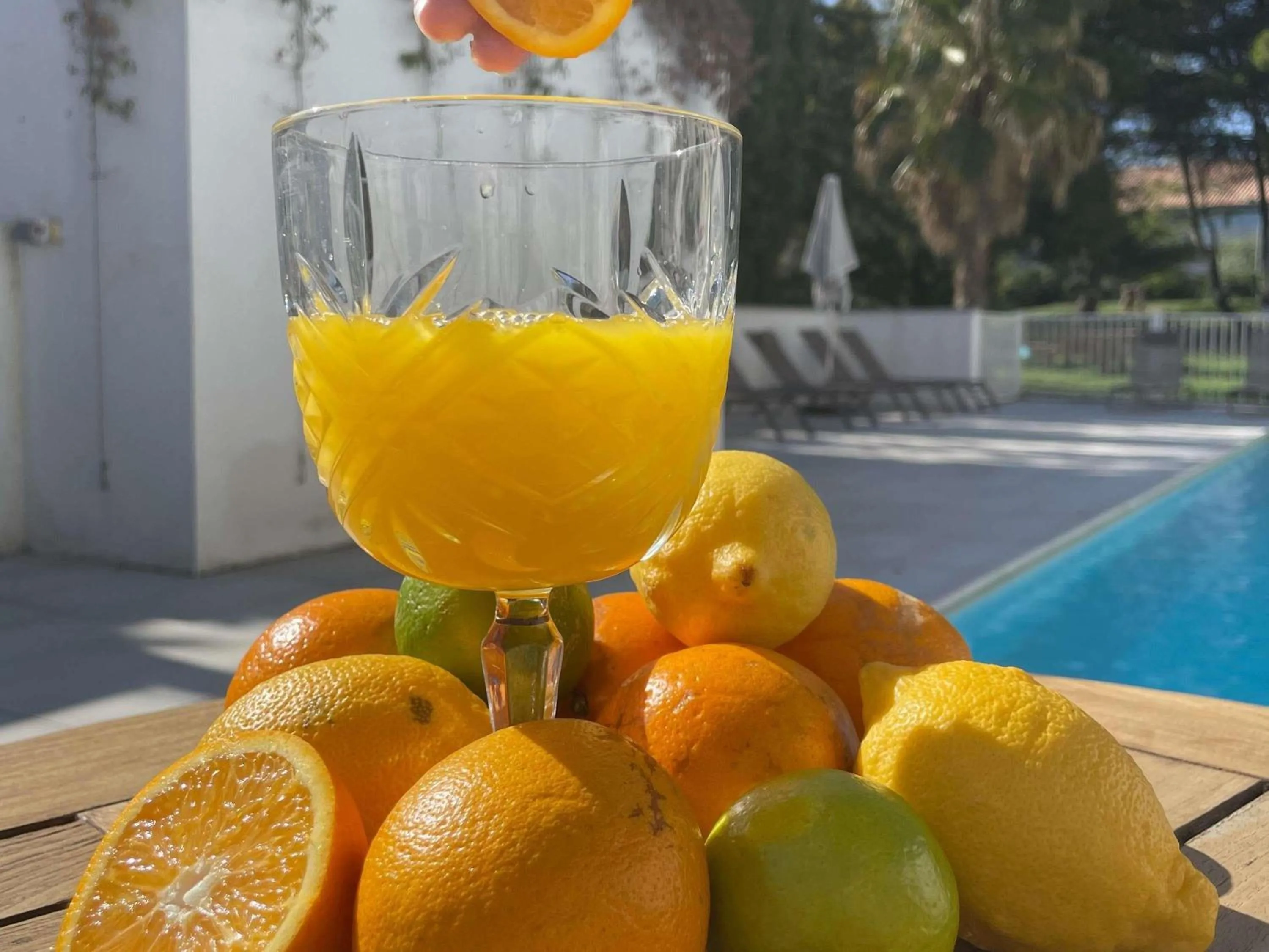 Lounge or bar in Novotel Narbonne Sud A9/A61