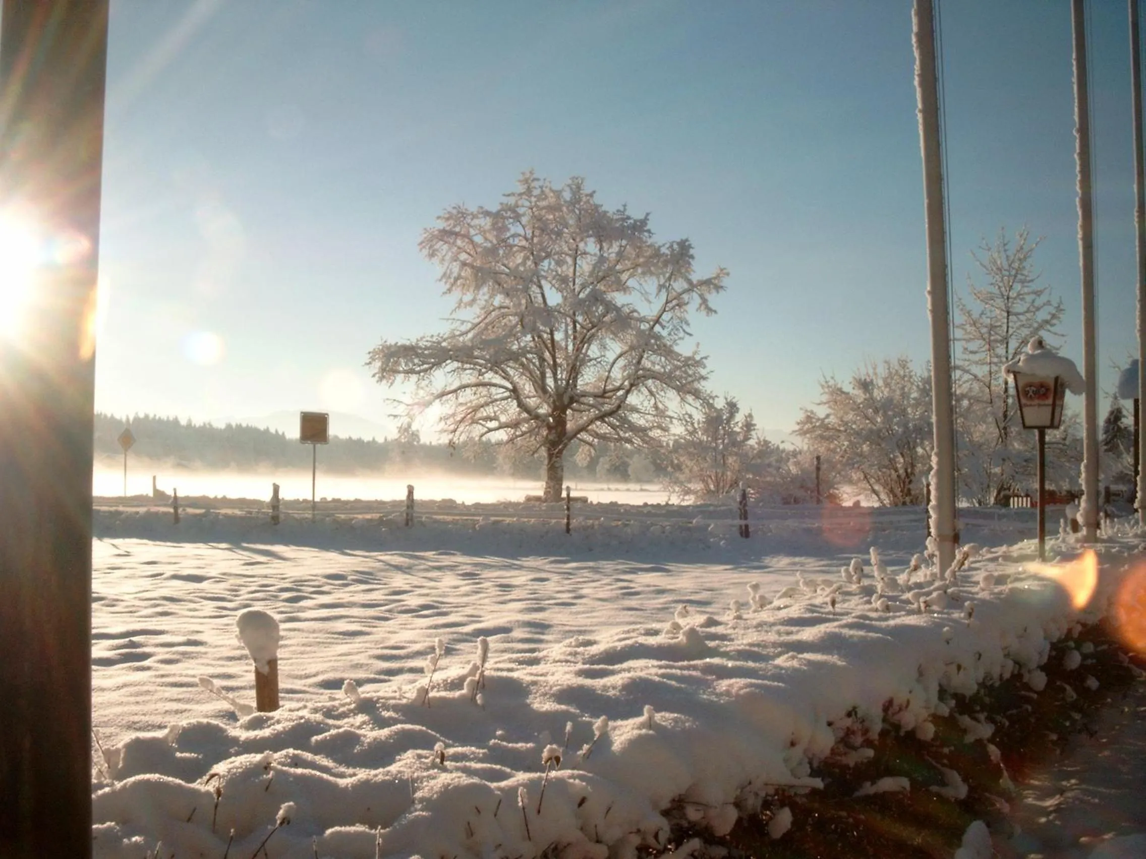 Winter in Hotel Landgasthof Schöntag