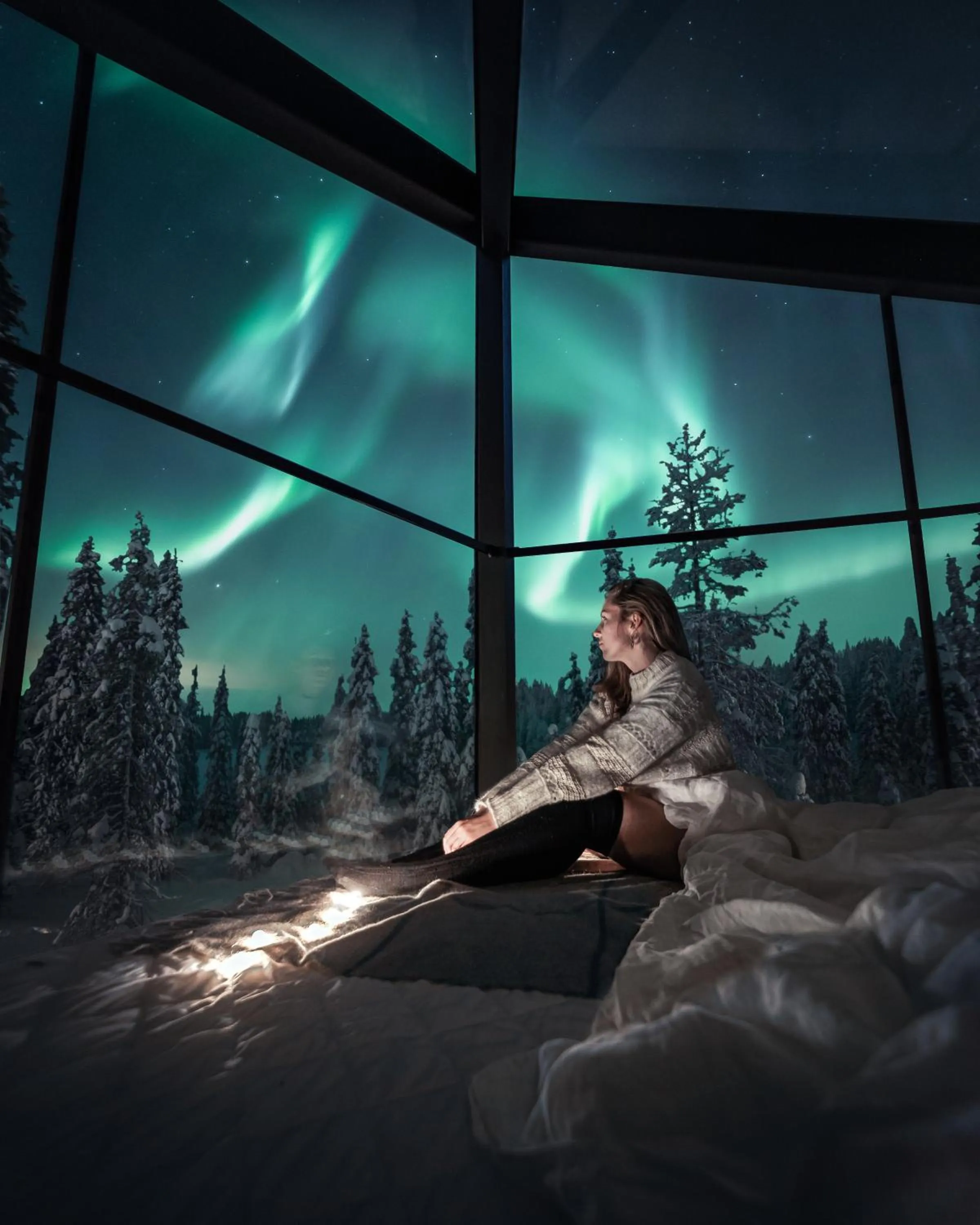 Night in Magical Pond Nature Igloos