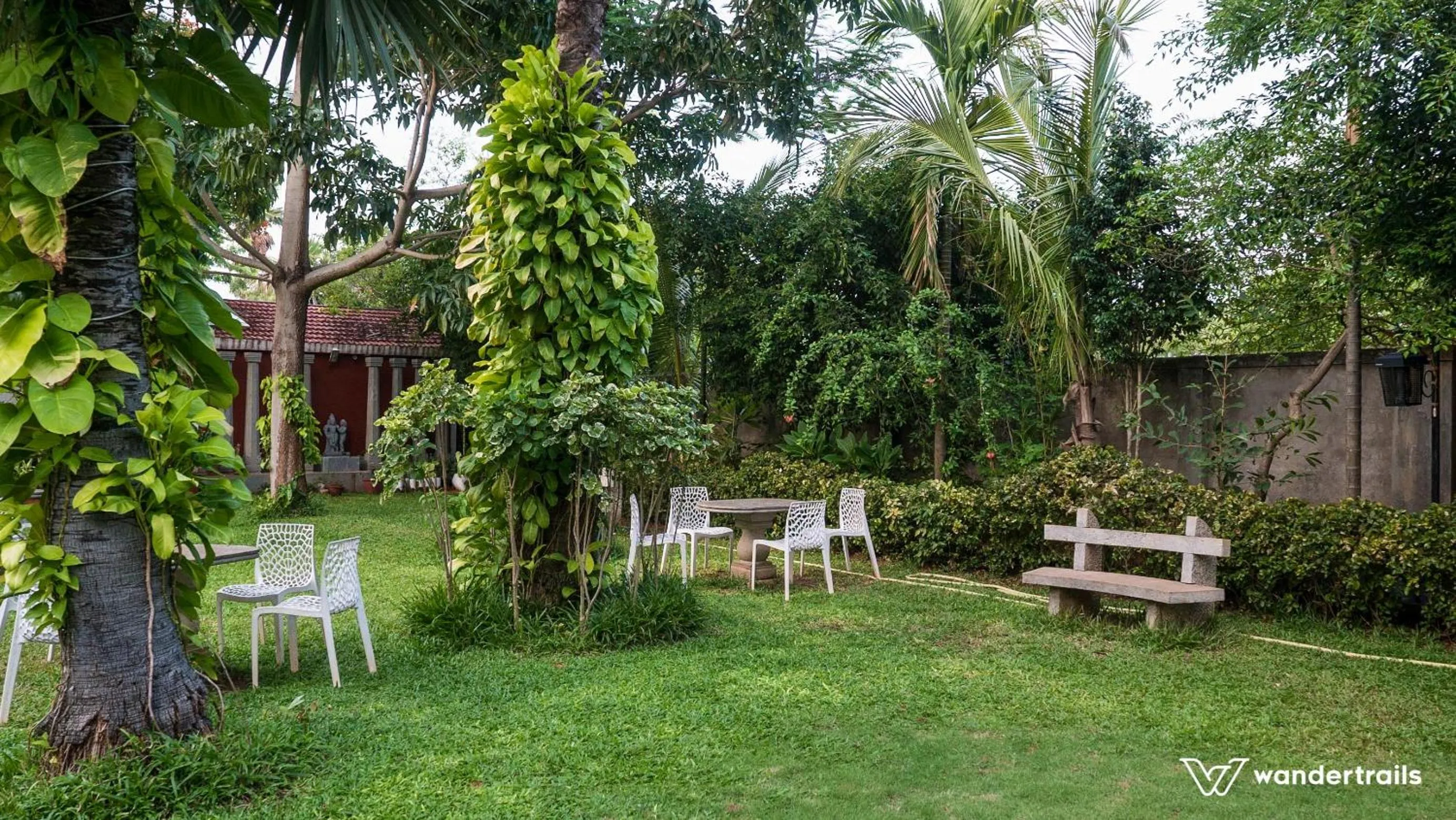 Area and facilities in Poppys Olive de' villa