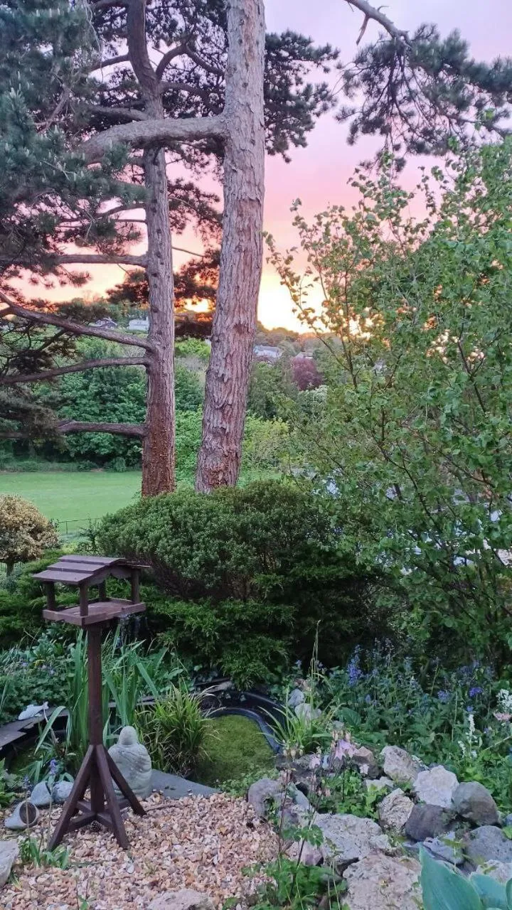 Garden in Glan Heulog