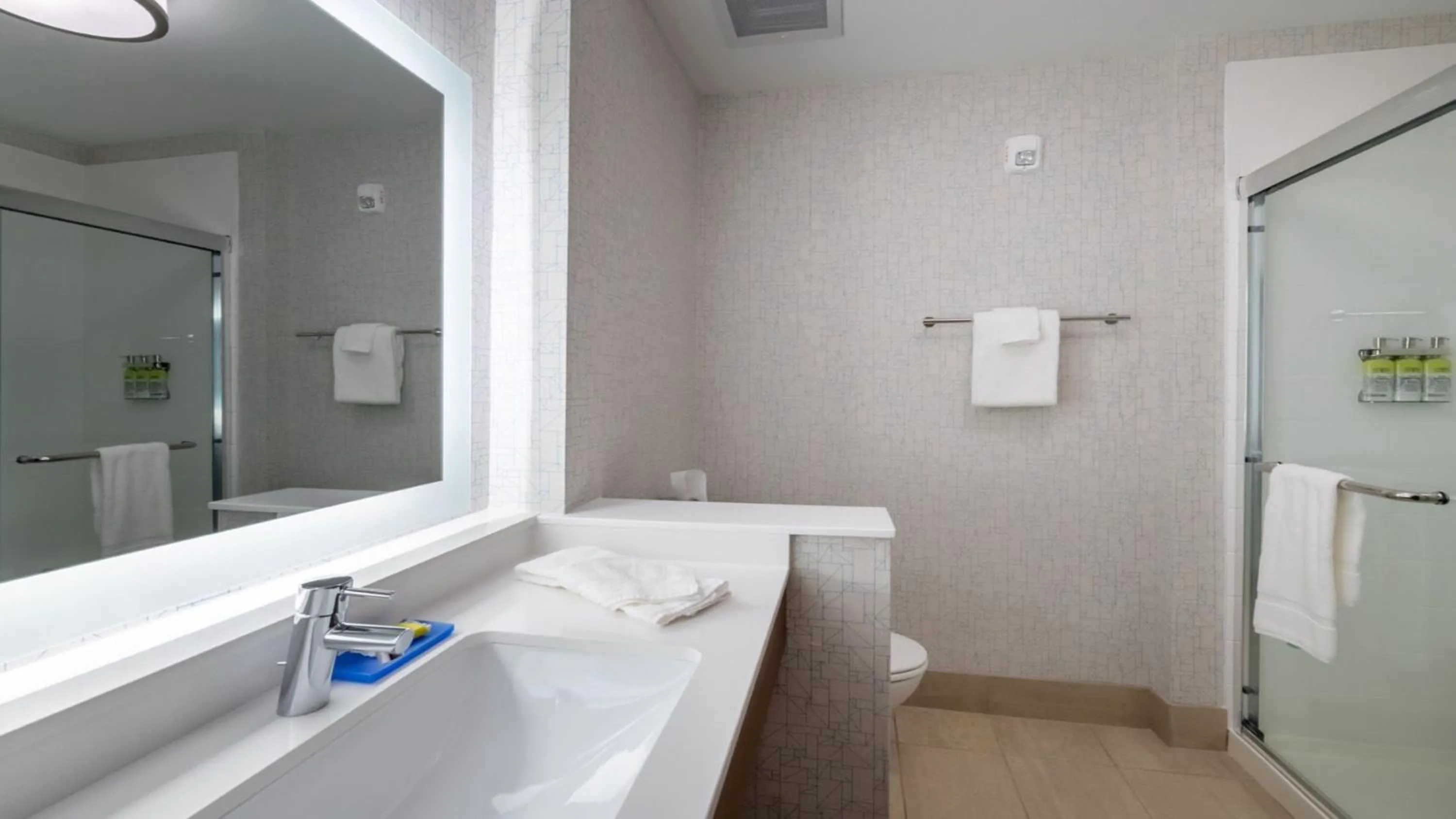 Bathroom in Holiday Inn Express & Suites - Marion by IHG