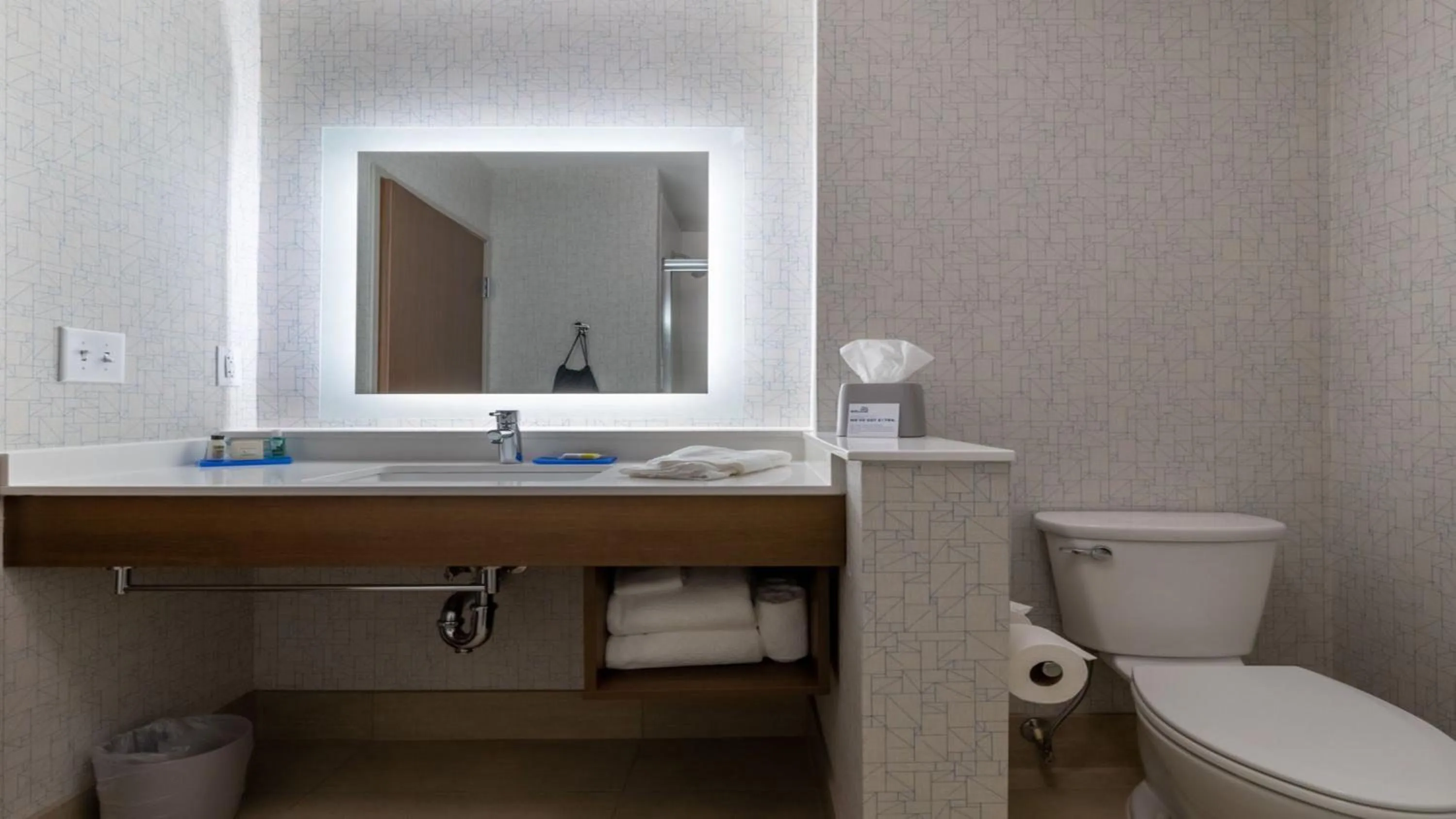 Bathroom in Holiday Inn Express & Suites - Marion by IHG