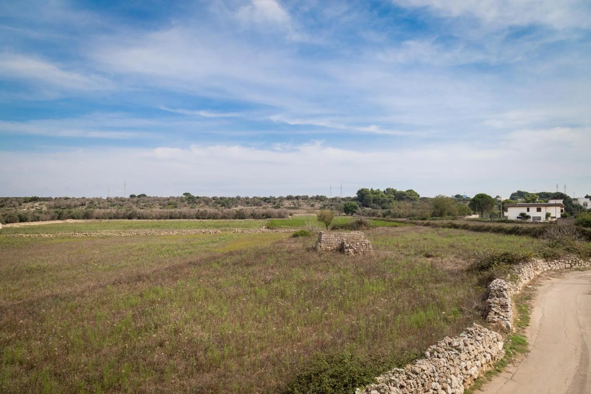 Natural landscape in B&B Aurora Salentina