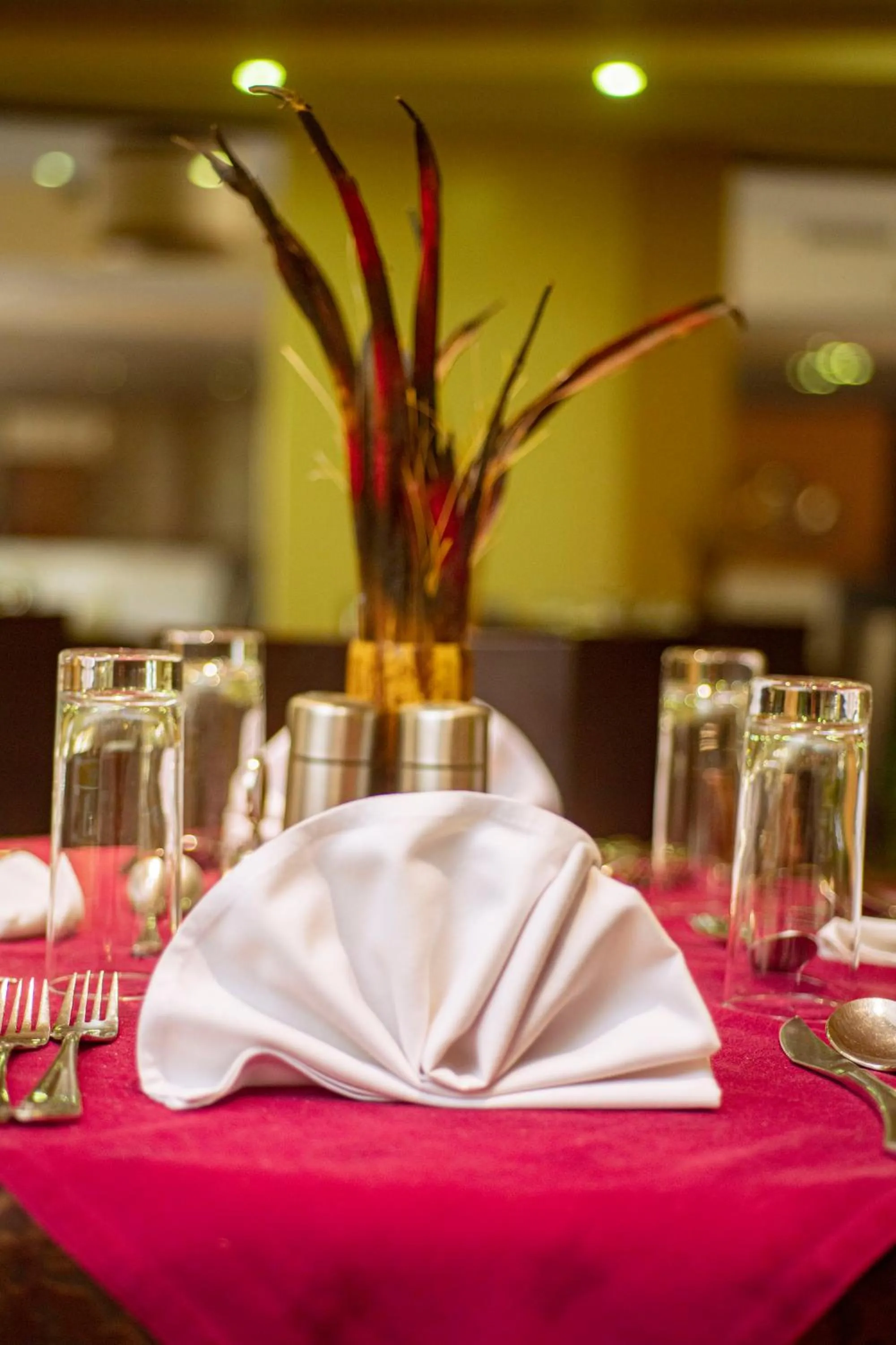 Restaurant/places to eat in SG Premium Resort