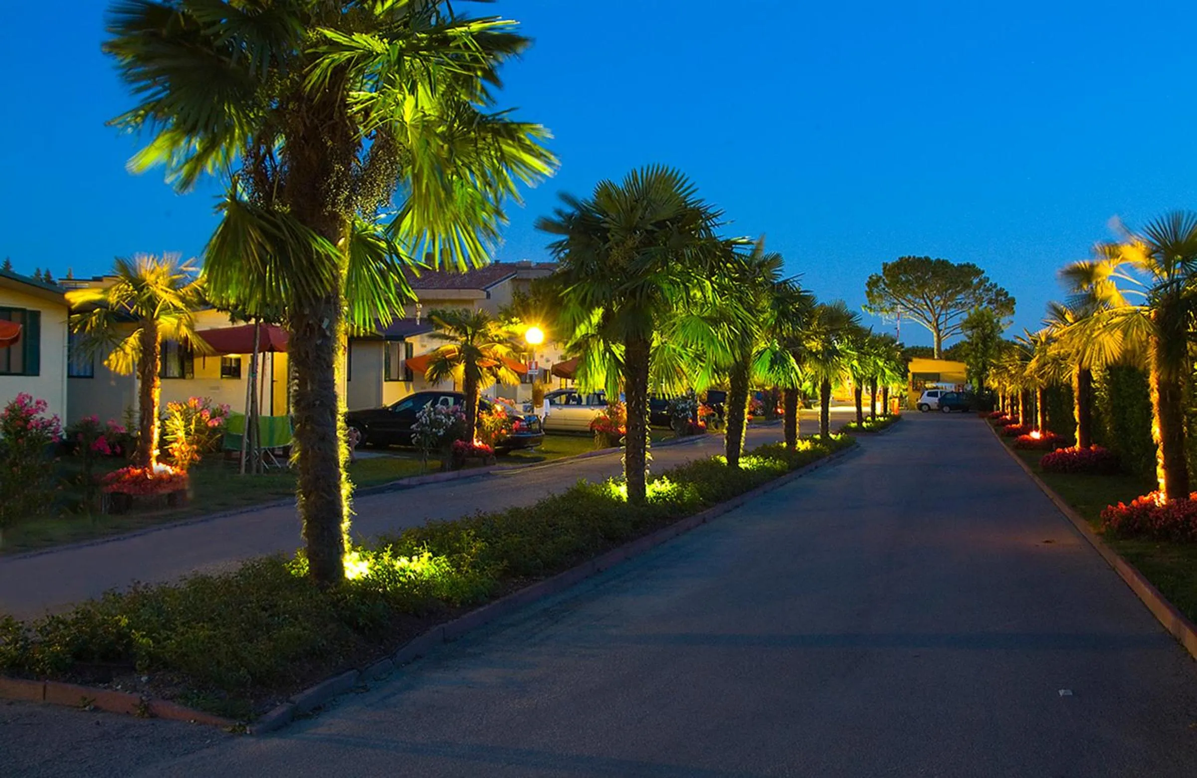 Other in Camping Village Butterfly