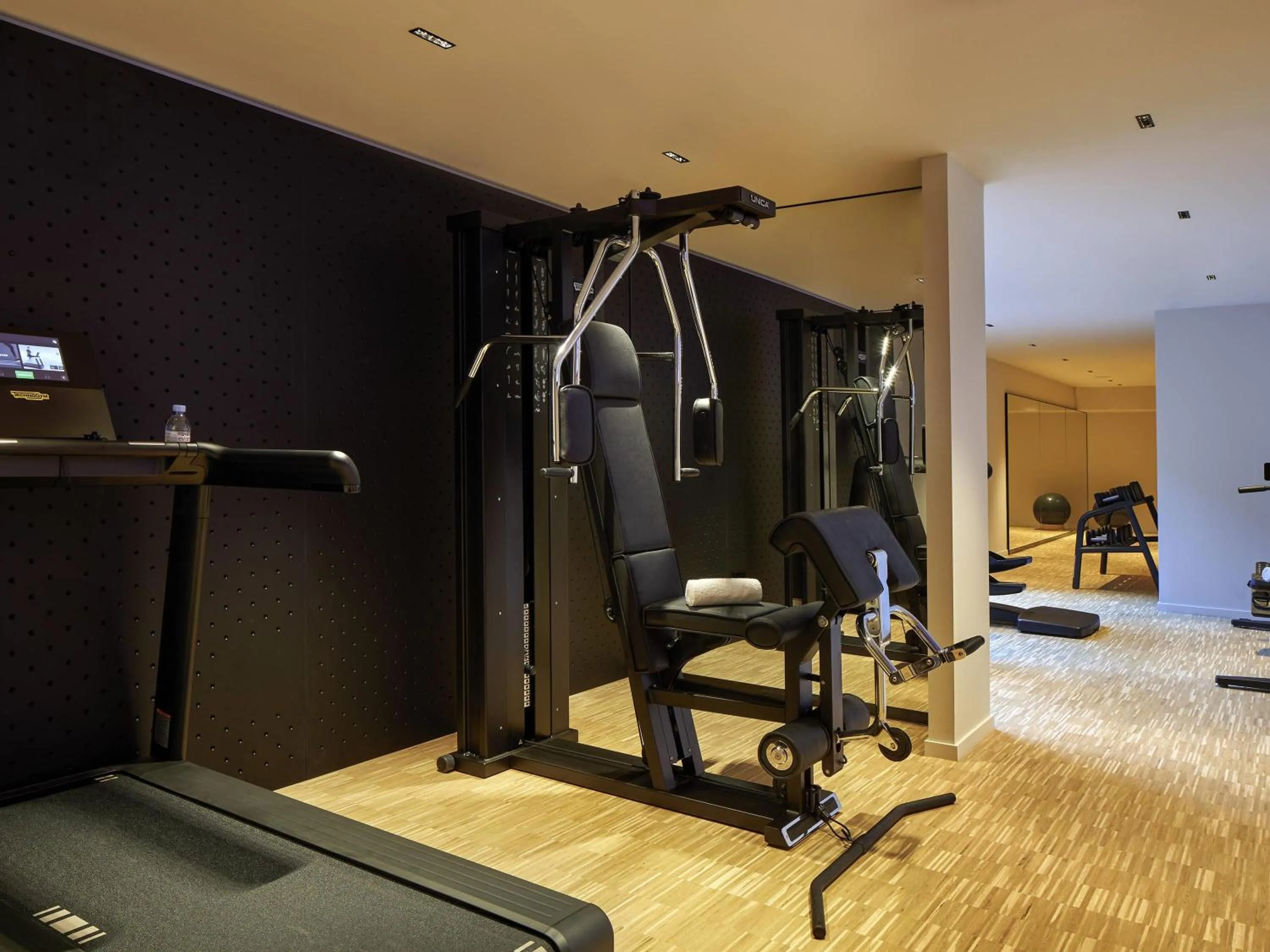 Fitness centre/facilities in L'Esquisse Hotel & Spa Colmar - MGallery Collection