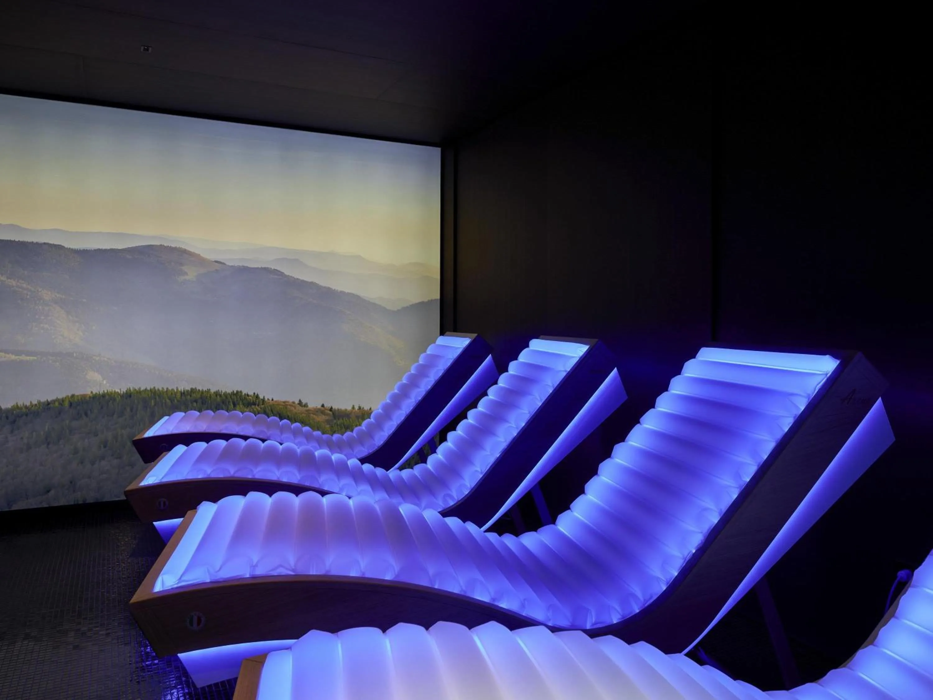 Other in L'Esquisse Hotel & Spa Colmar - MGallery Collection