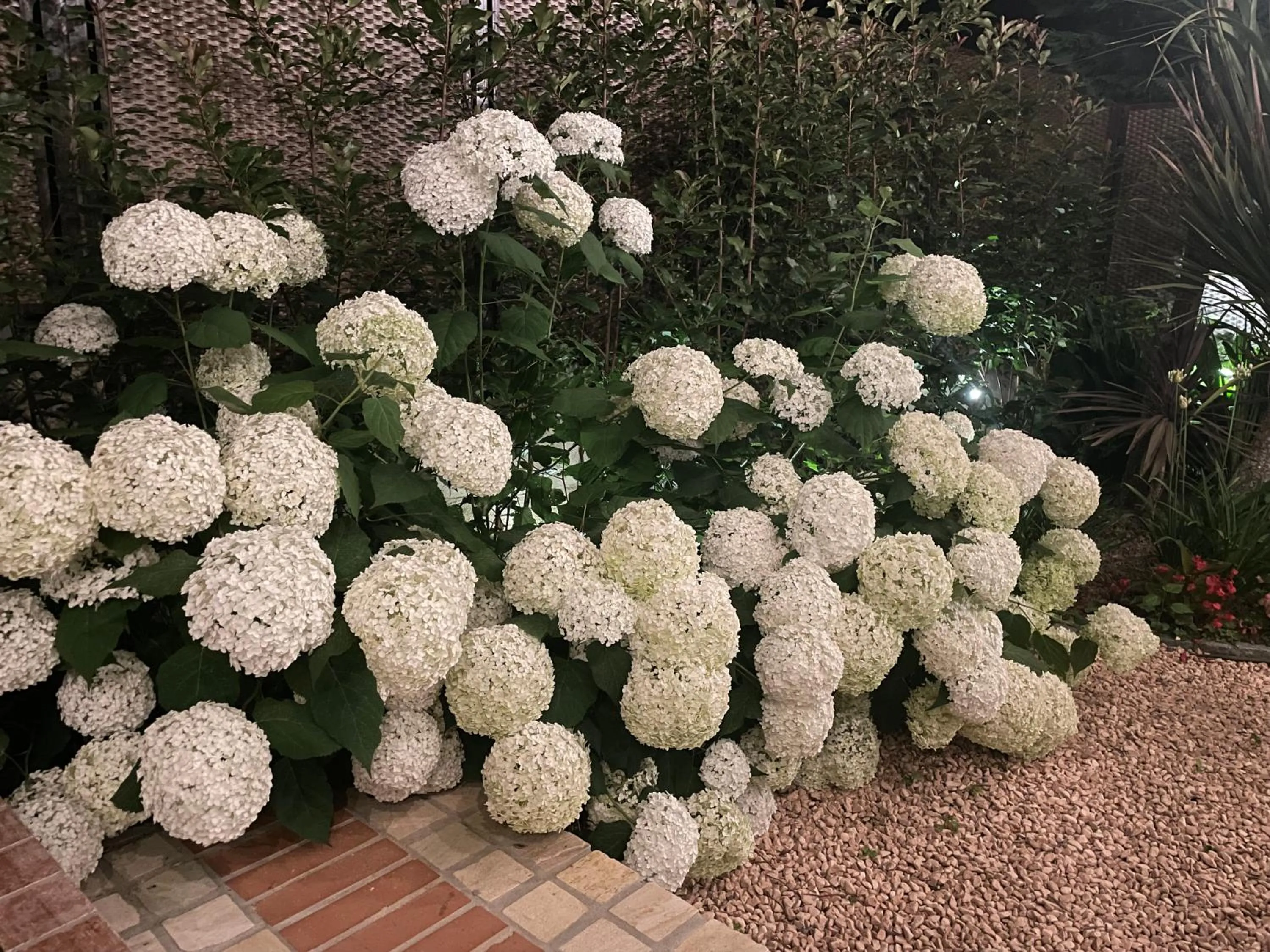 Garden in Borgata Cantone Country House B&B