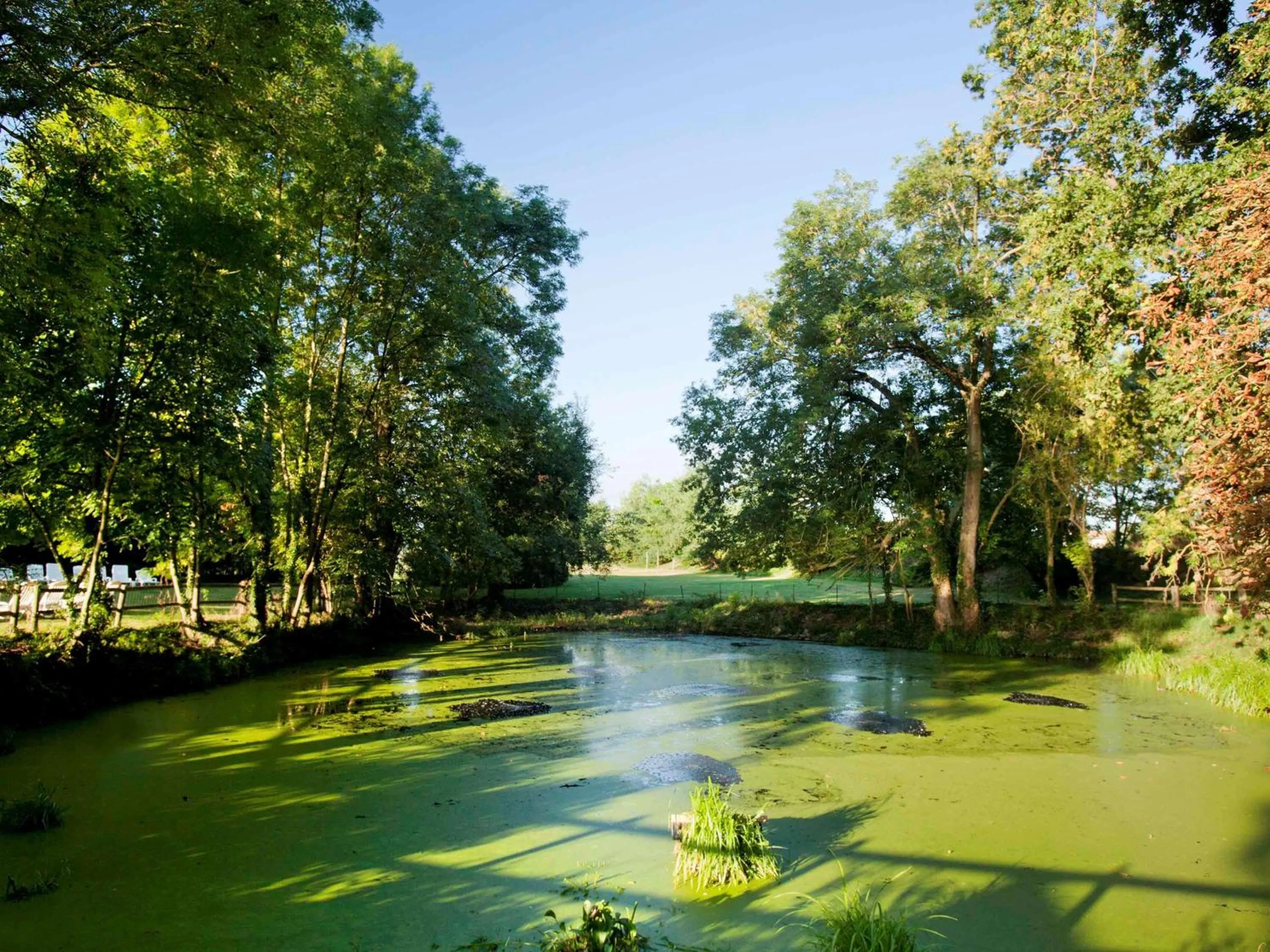 Other in Novotel Saclay