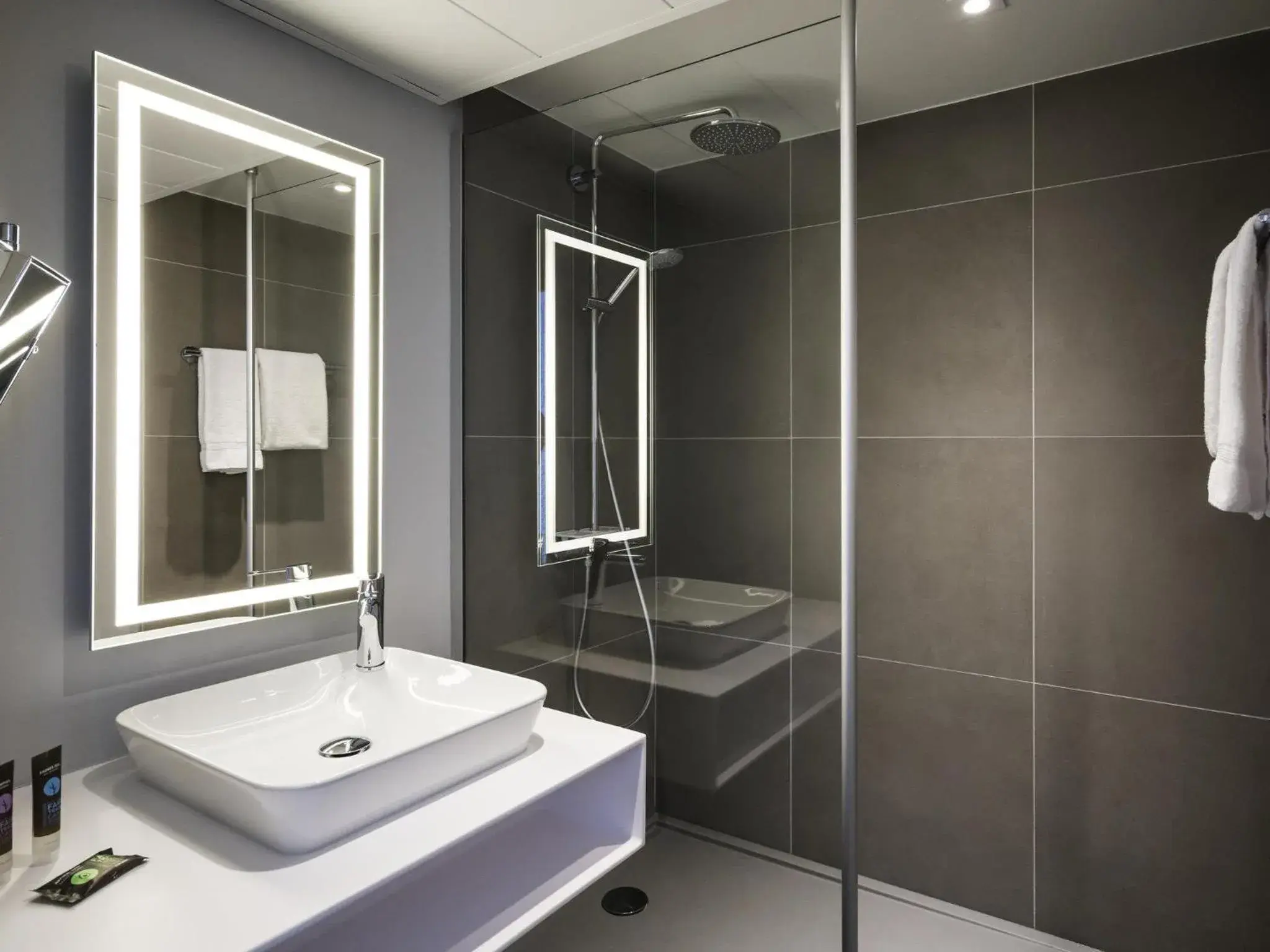 Executive Room in Novotel Saclay Executive Room in Novotel Saclay