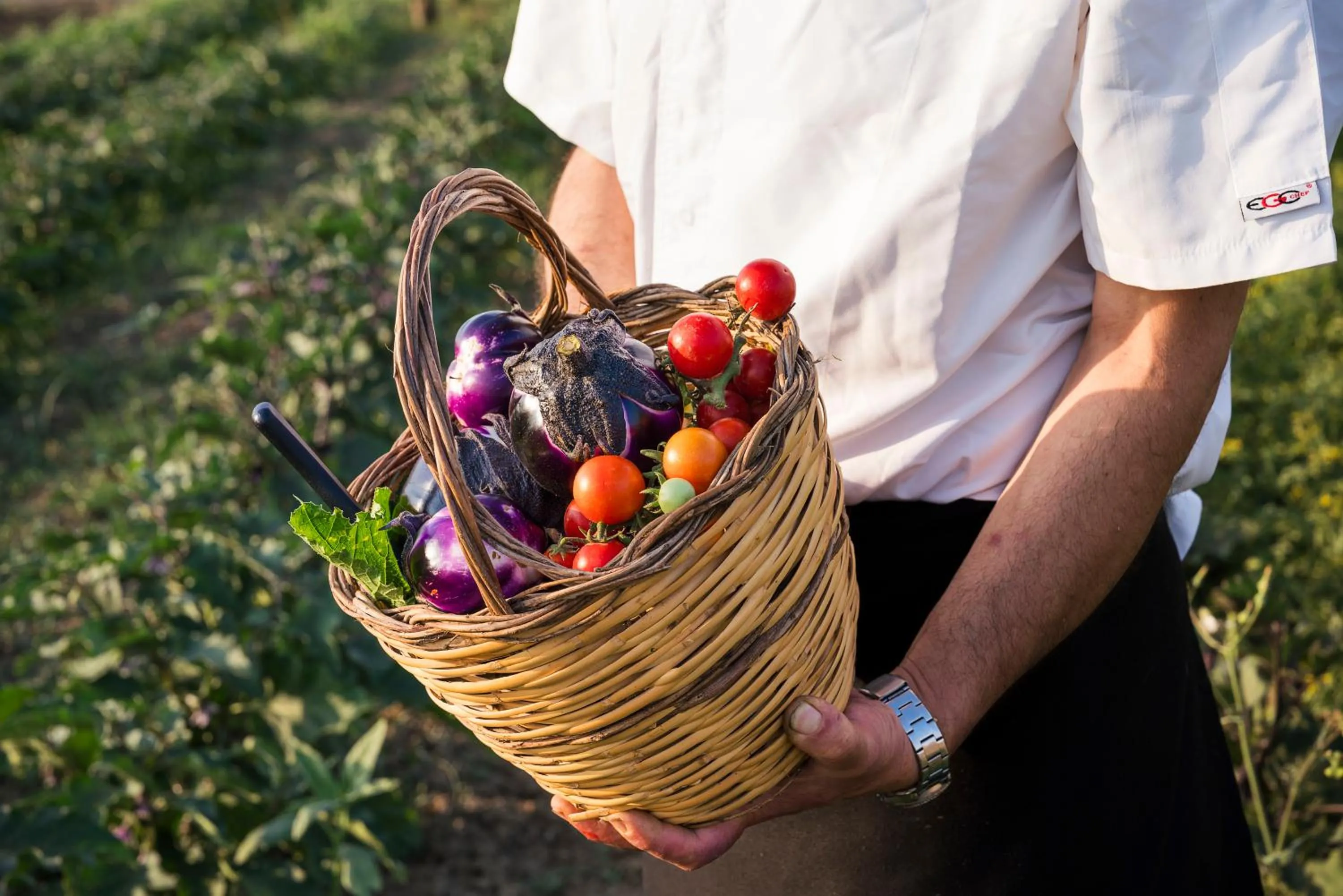 Food in Nèroli Bio Relais