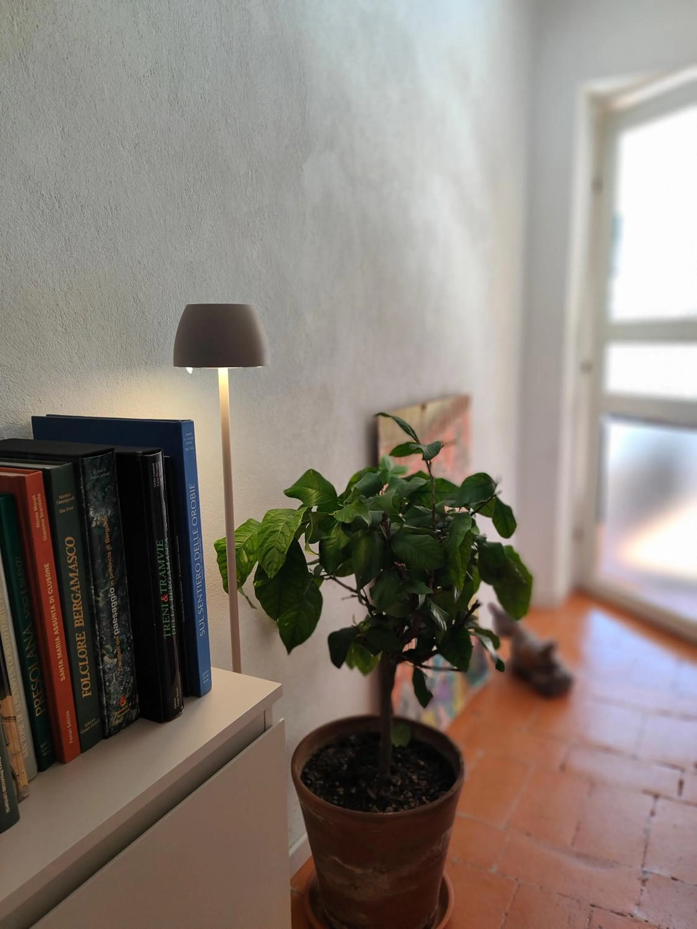 Area and facilities in Bed&Breakfast Angela