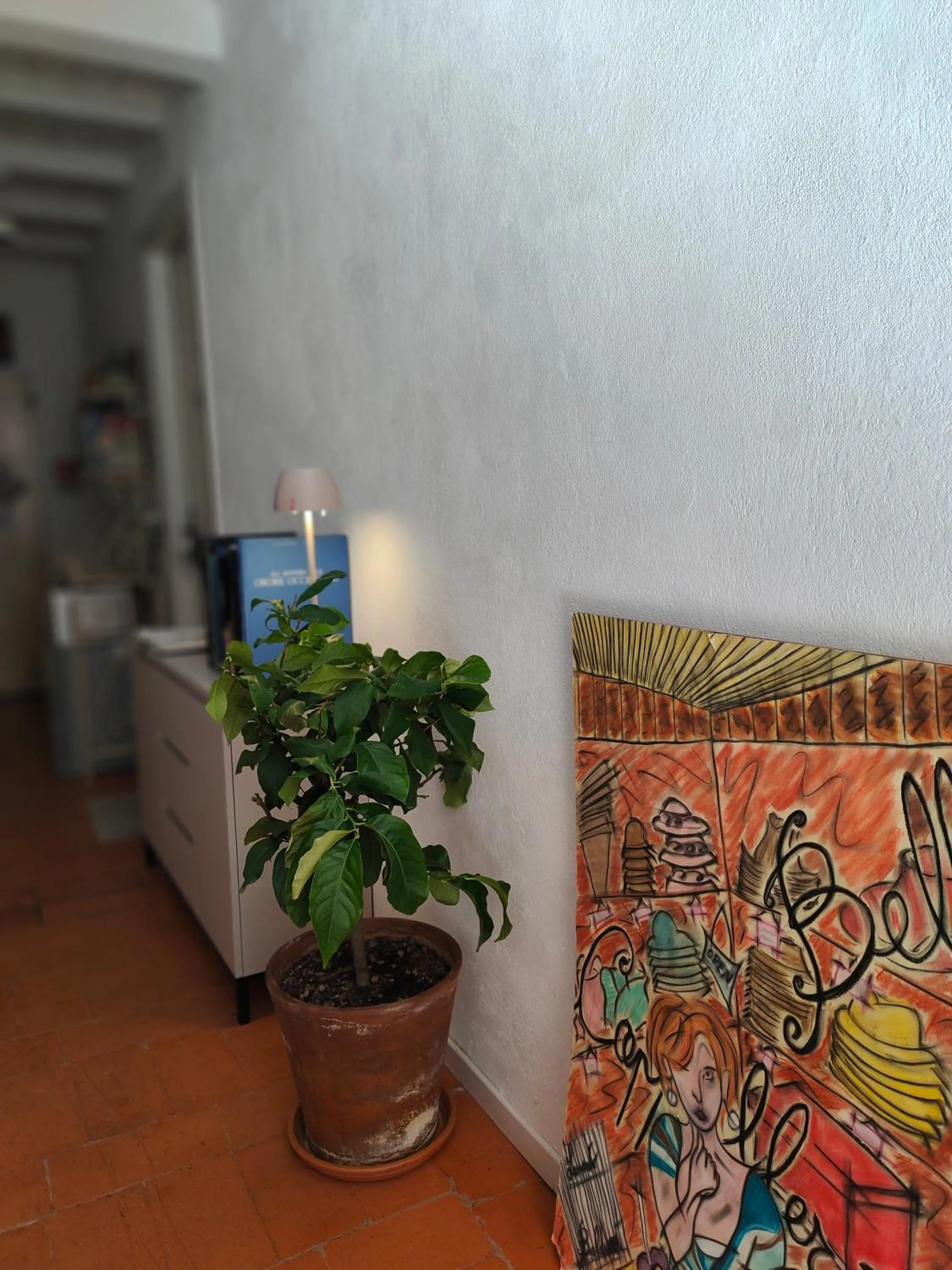 Area and facilities in Bed&Breakfast Angela