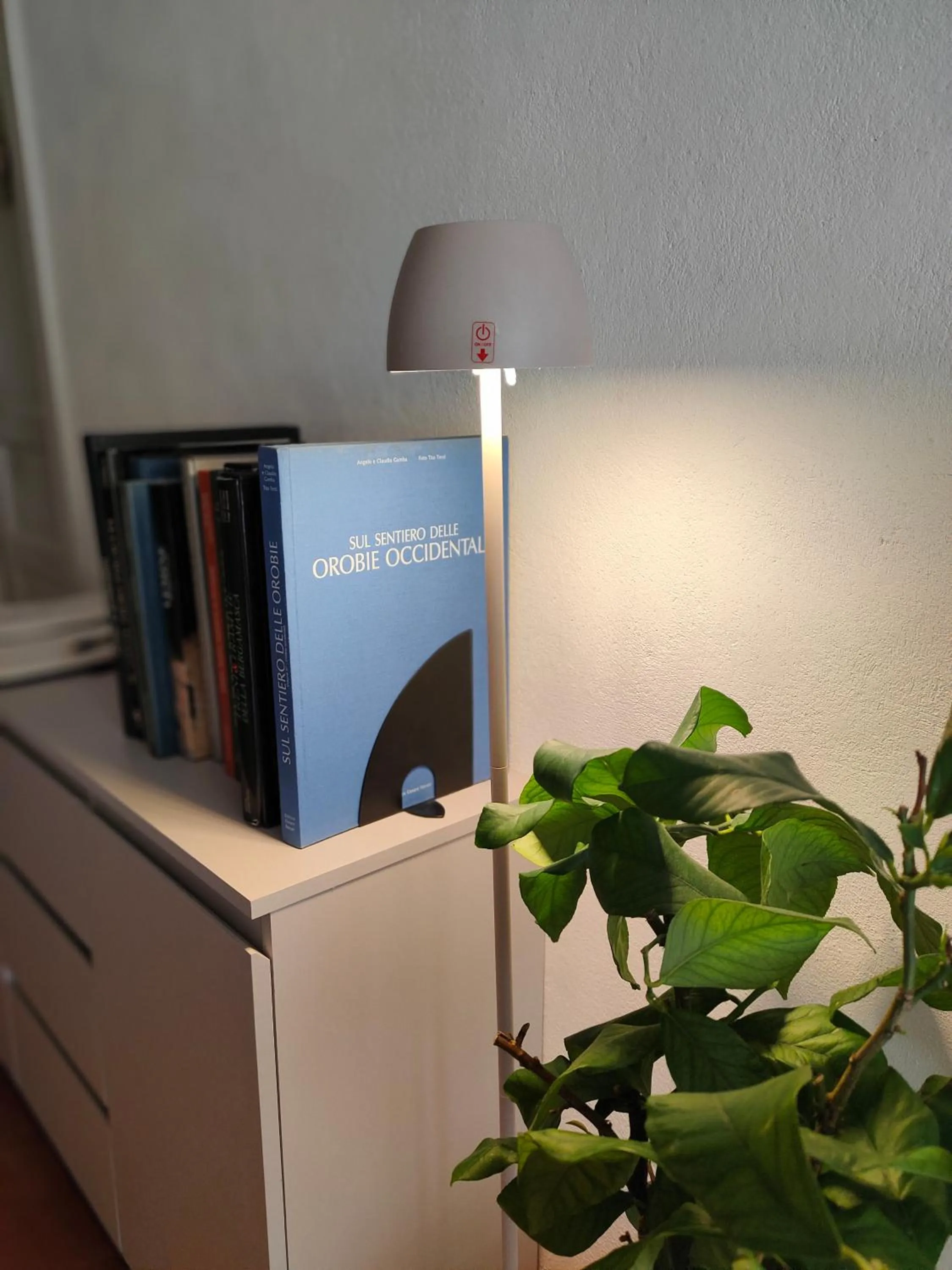 Area and facilities in Bed&Breakfast Angela