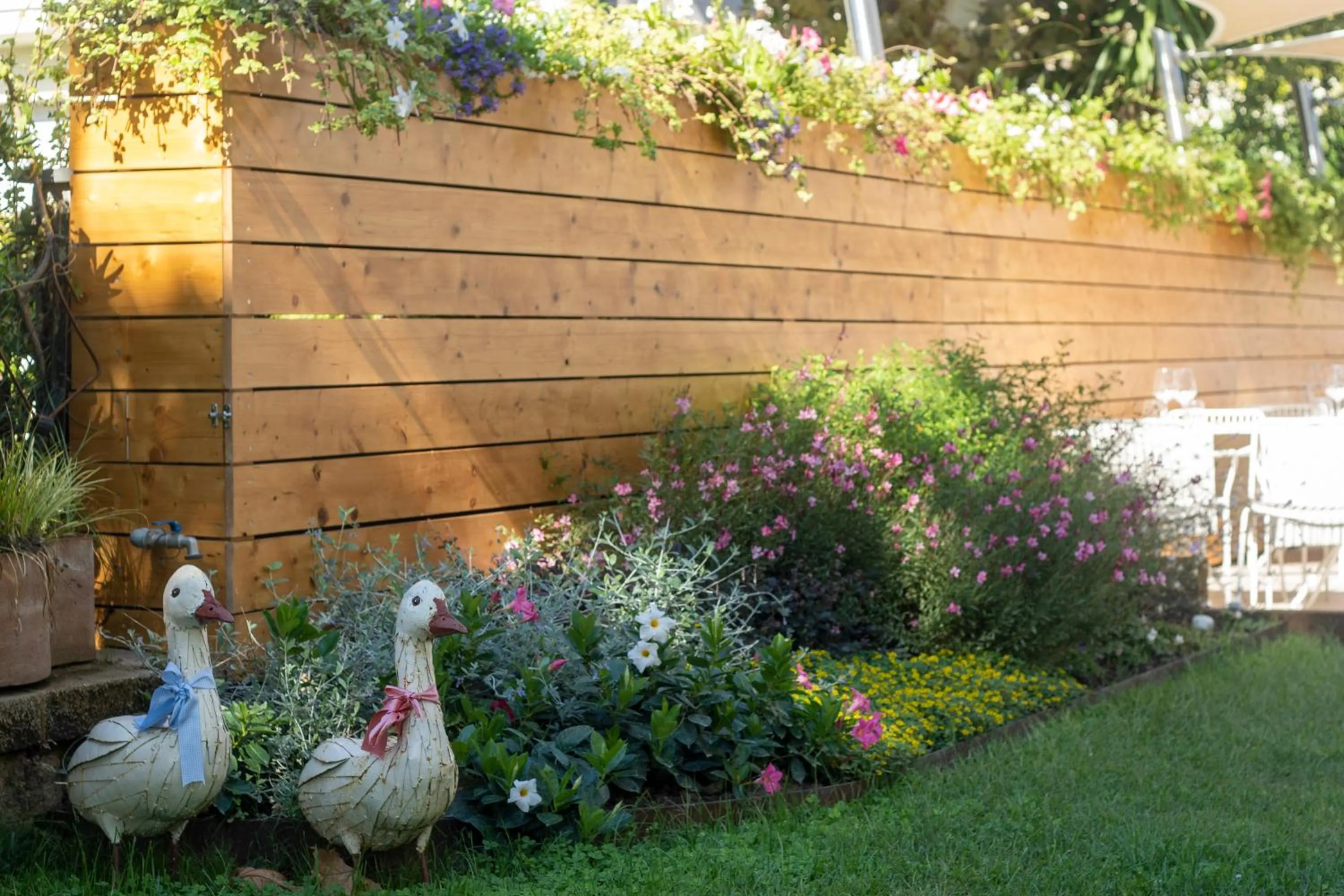 Restaurant/places to eat in Hotel Tarabella