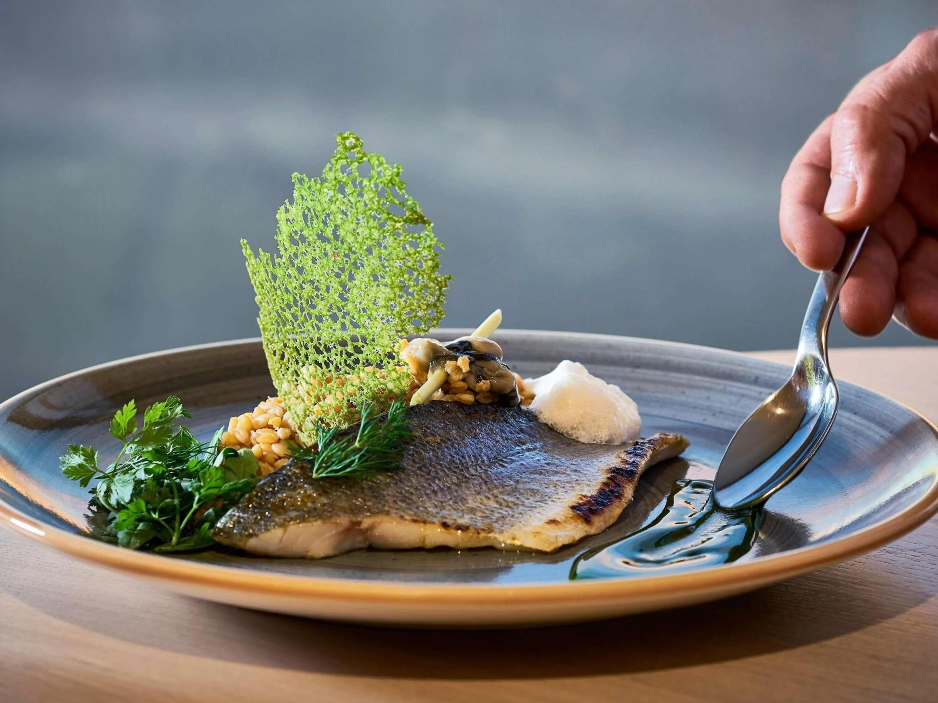 Restaurant/places to eat in Novotel Thalassa Le Touquet