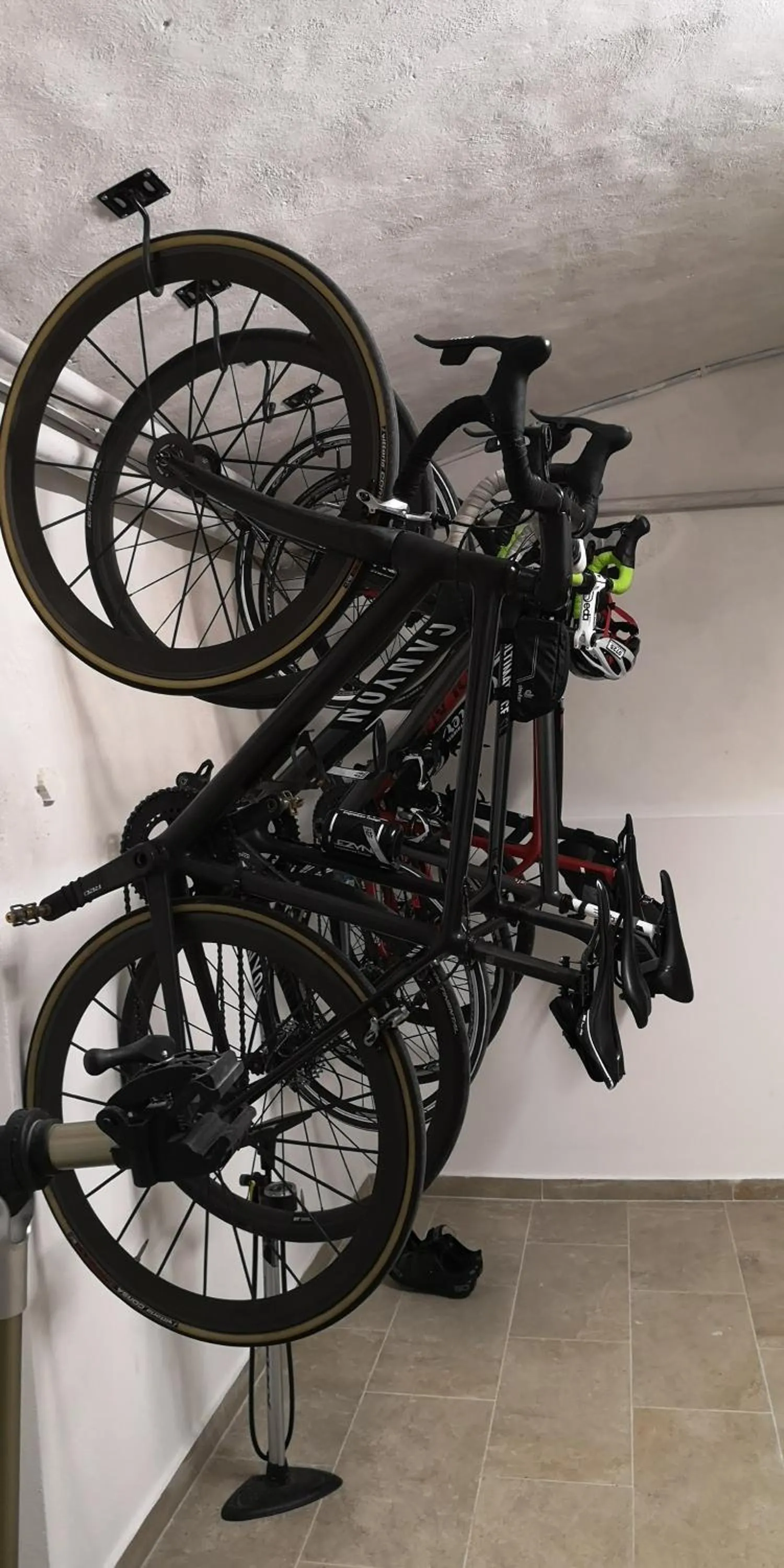 Cycling in Hotel Palazzo Renieri - 3stelle S