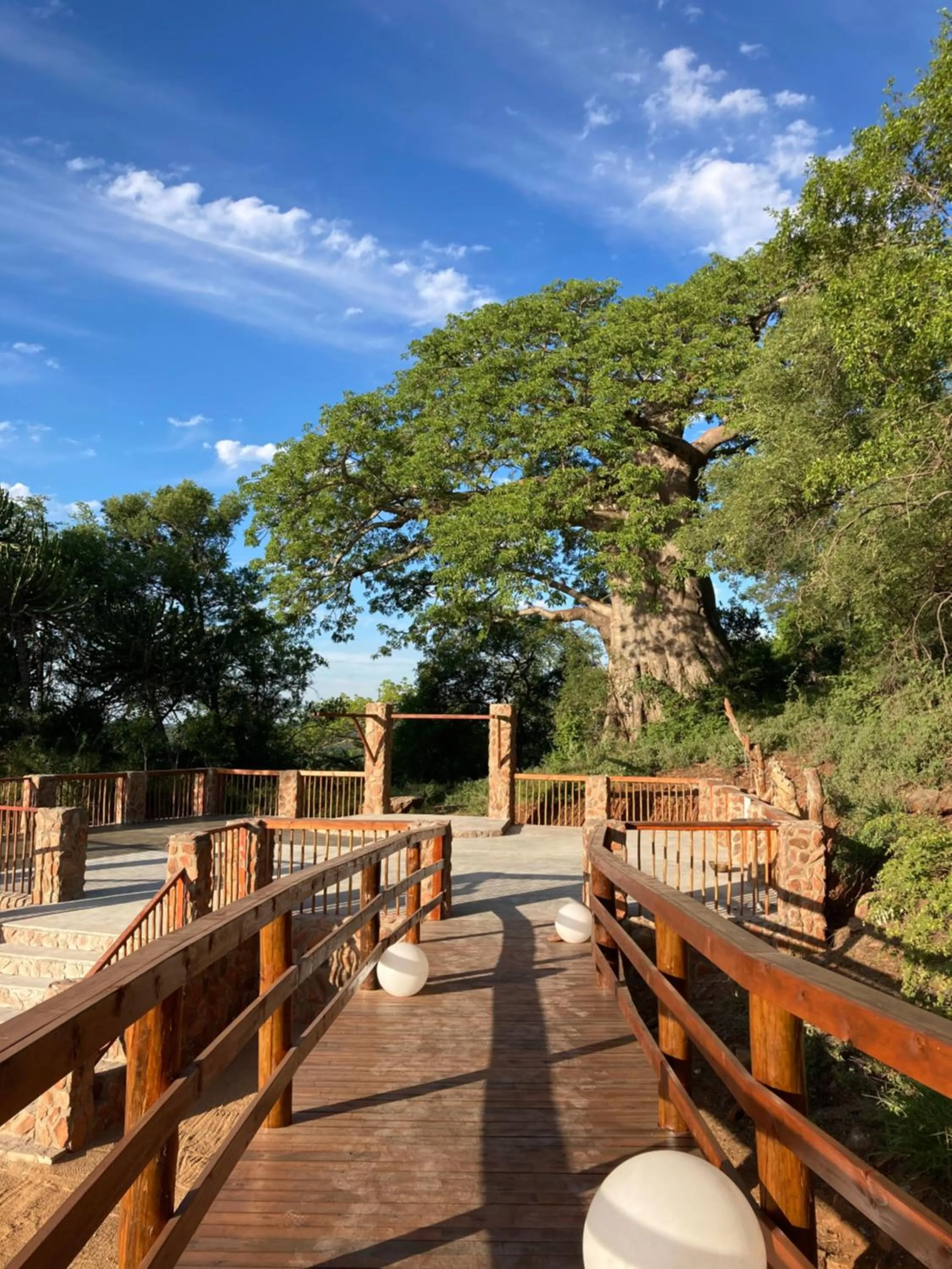 Natural landscape in Kilima Private Game Reserve & Spa