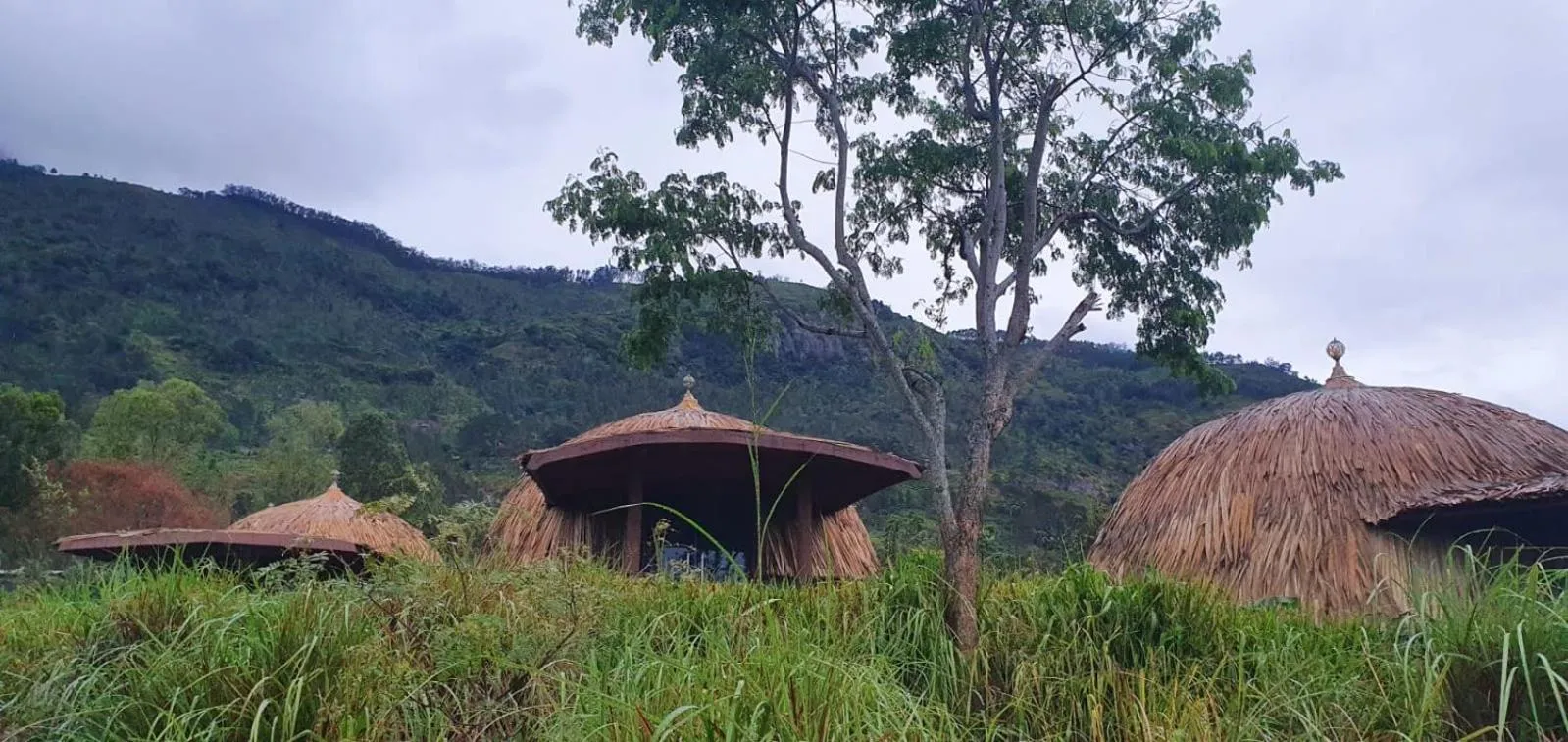 Natural landscape in Dream Cliff Mountain Resort