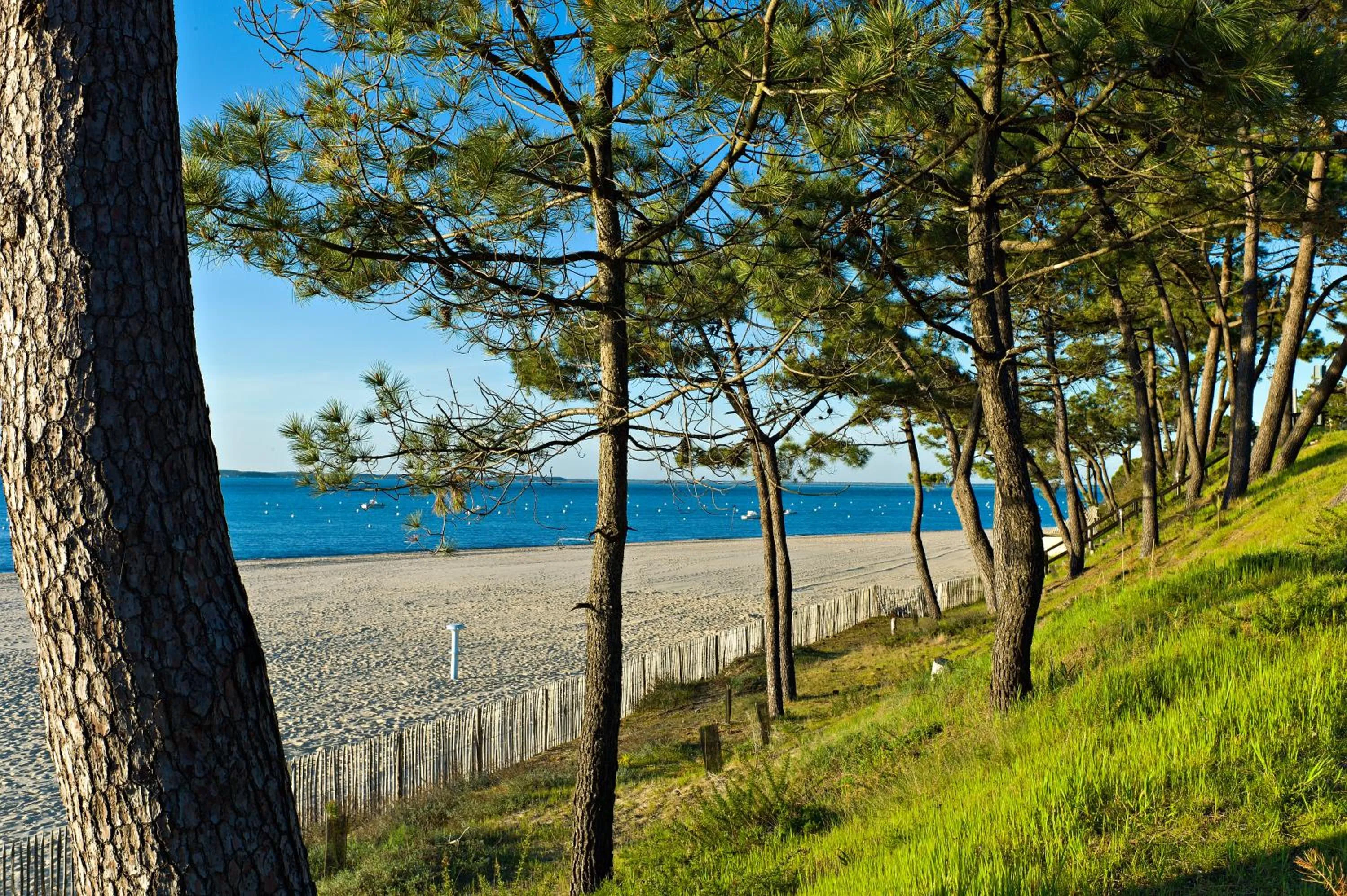Staff in Thalazur Arcachon