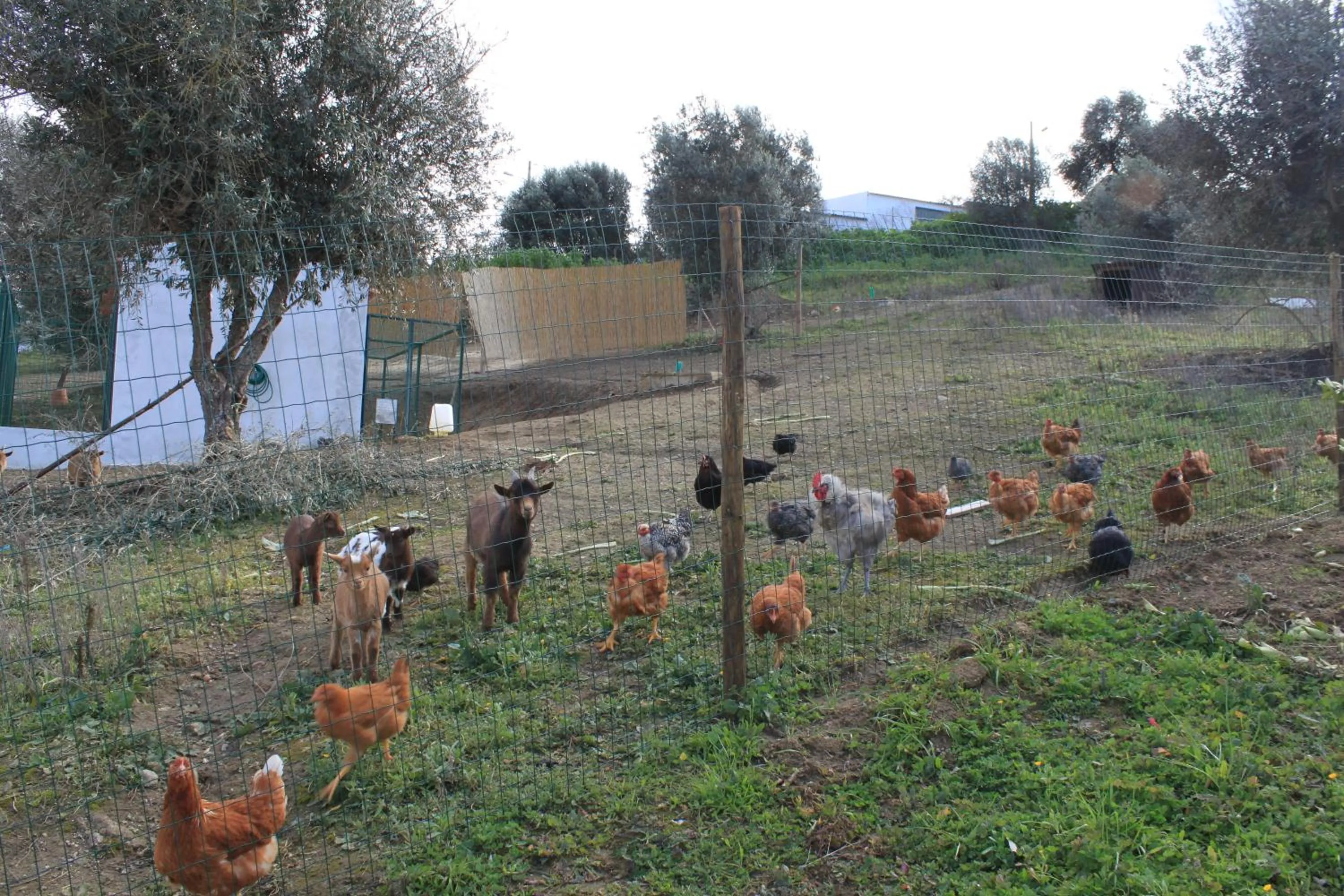 Natural landscape in Hotel O Gato & Spa