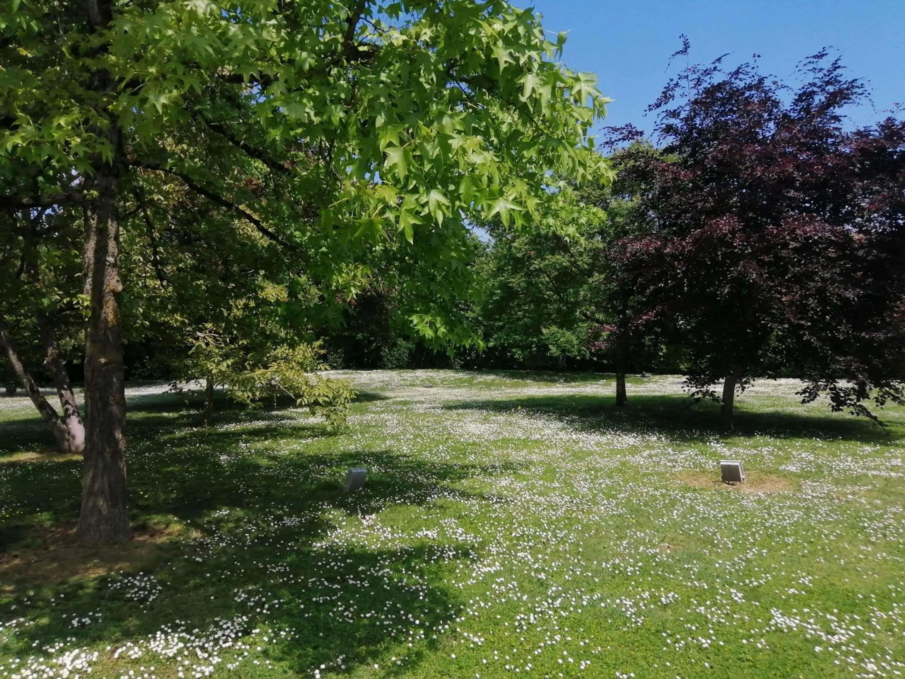 Other in ibis Styles Tours Sud