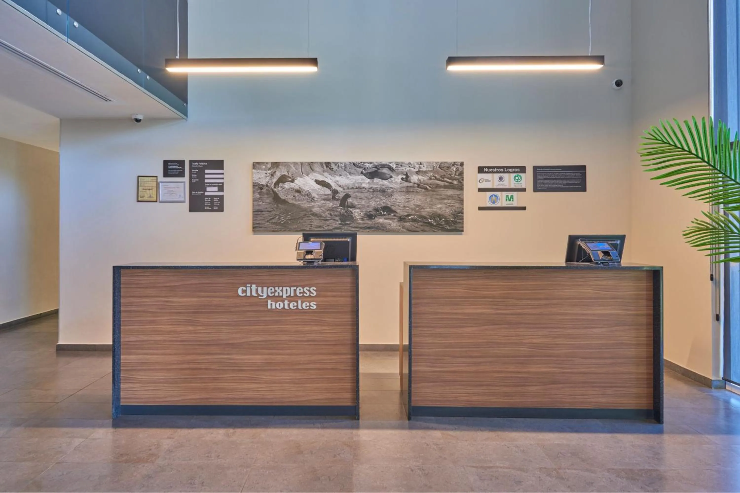 Lobby or reception in City Express by Marriott Guaymas