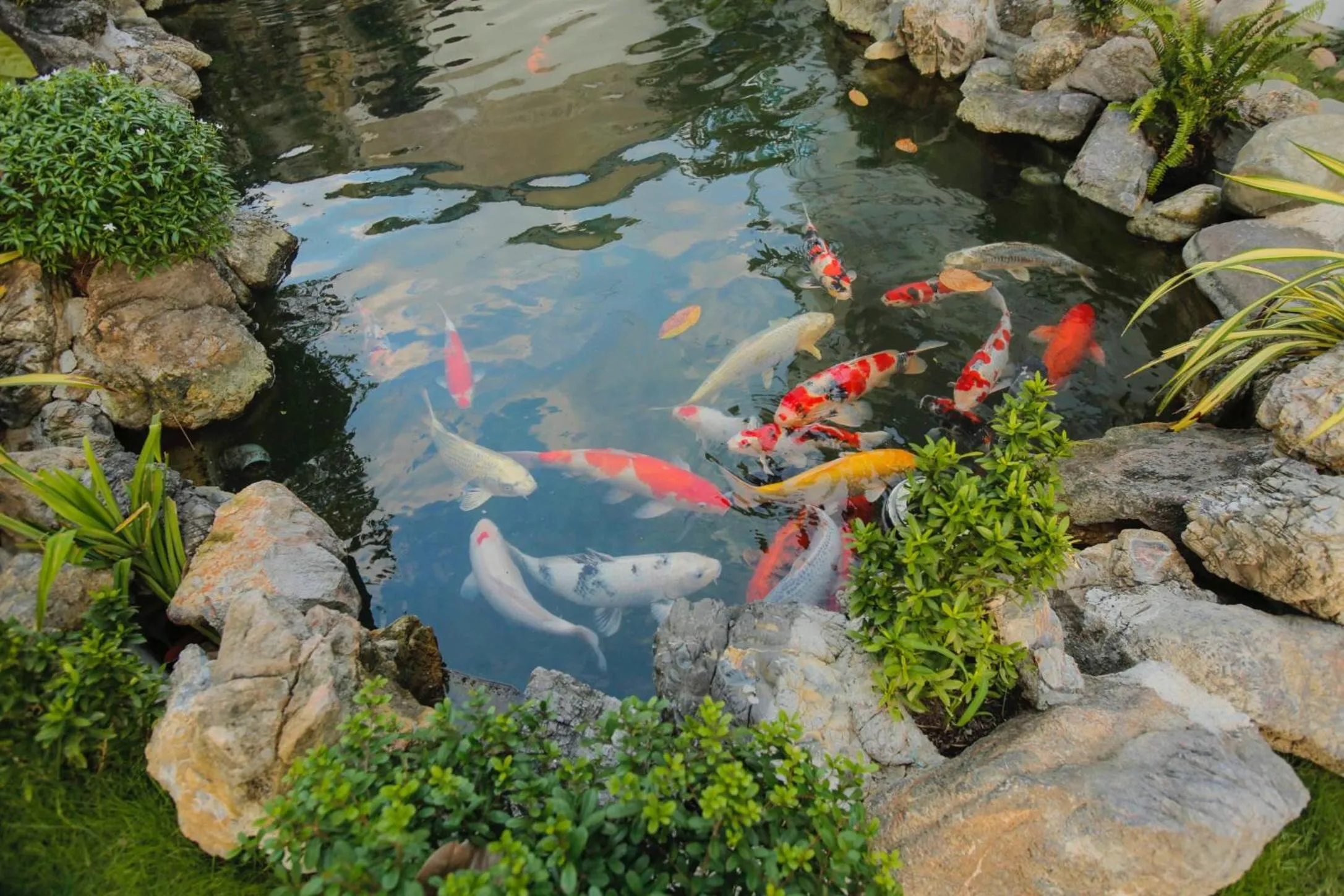 Riverside Impression Villa