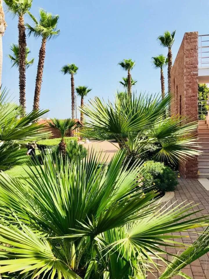 Villetta Del Salento Exclusive B&B