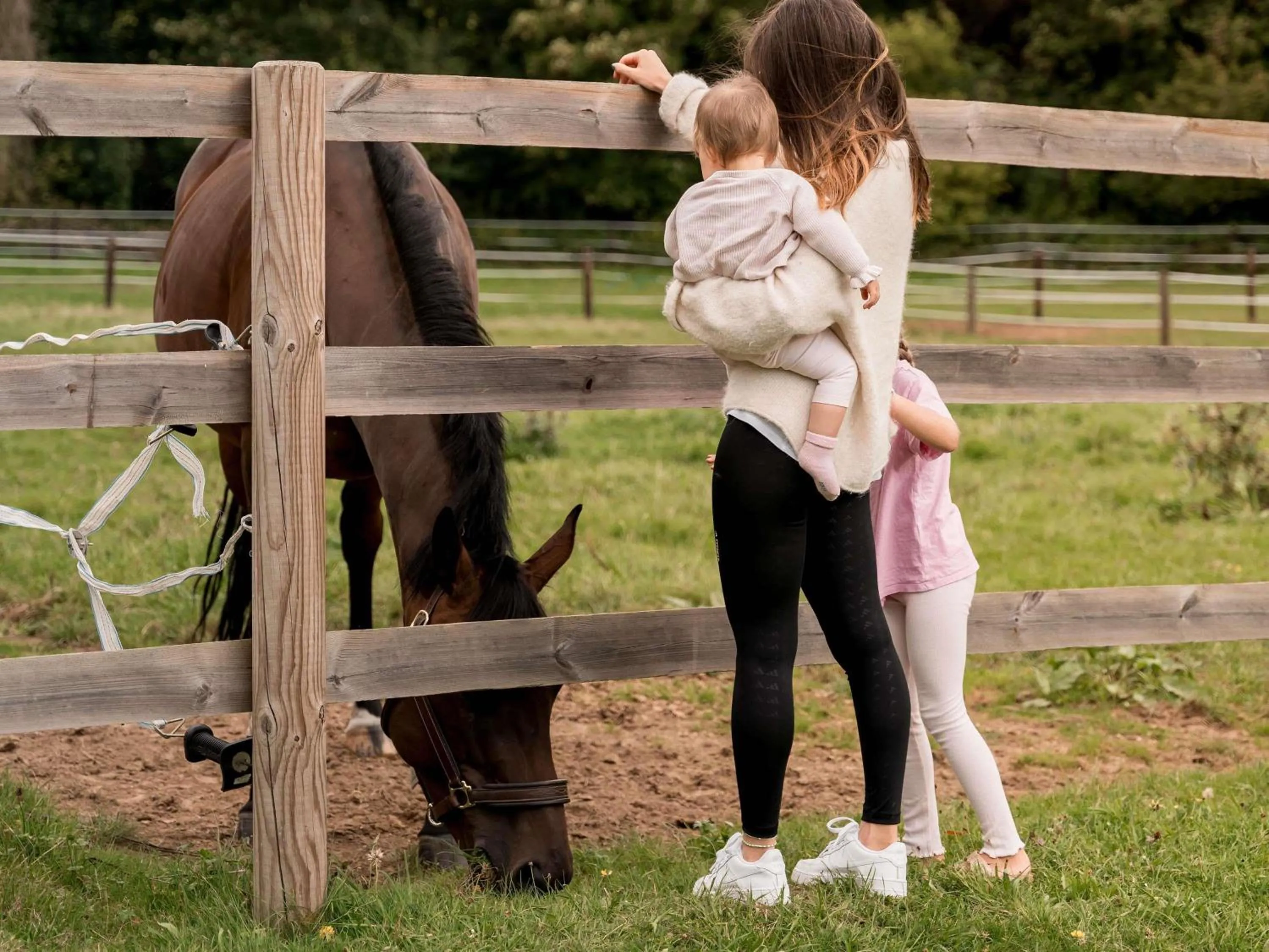 Property building in Hotel Novotel Domaine de Maffliers - Paris Val-d'Oise