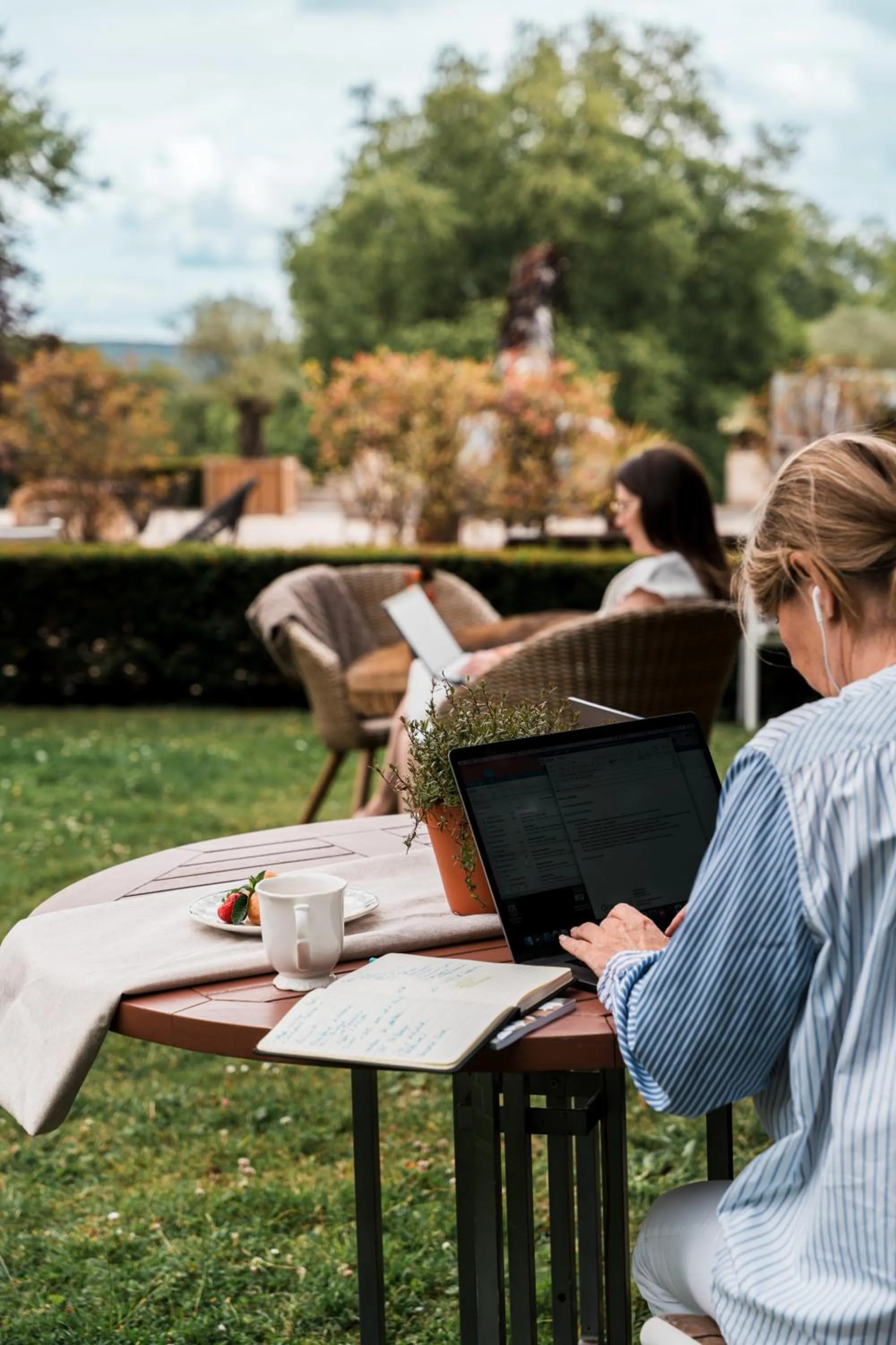 Business facilities in Hotel Novotel Domaine de Maffliers - Paris Val-d'Oise