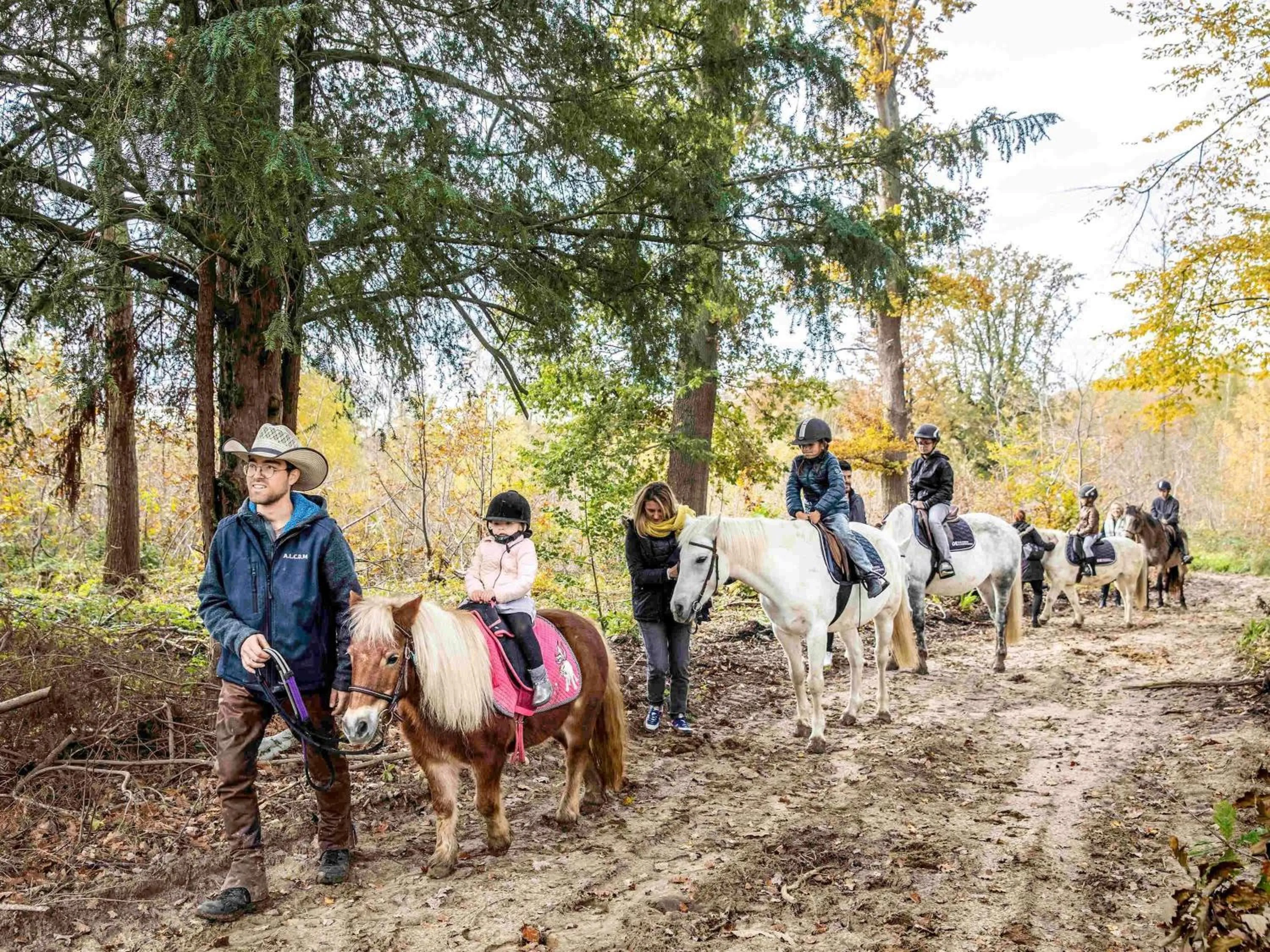 Other in Hotel Novotel Domaine de Maffliers - Paris Val-d'Oise