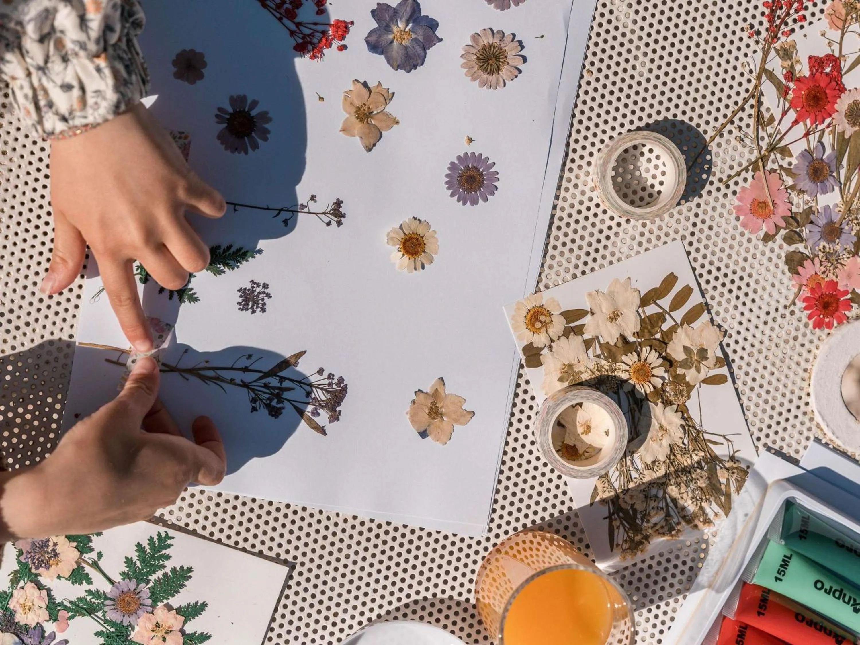 Other in Hotel Novotel Domaine de Maffliers - Paris Val-d'Oise