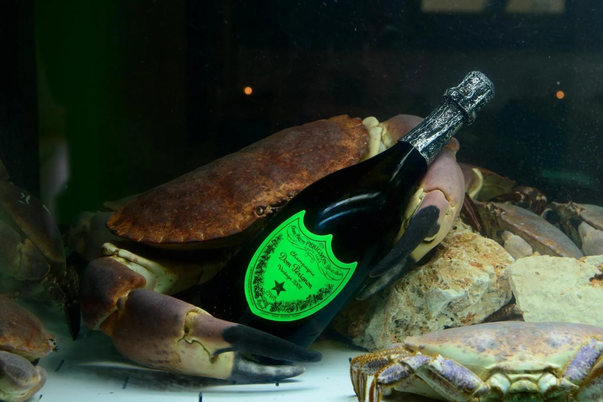 Food and drinks in Il Cecchini