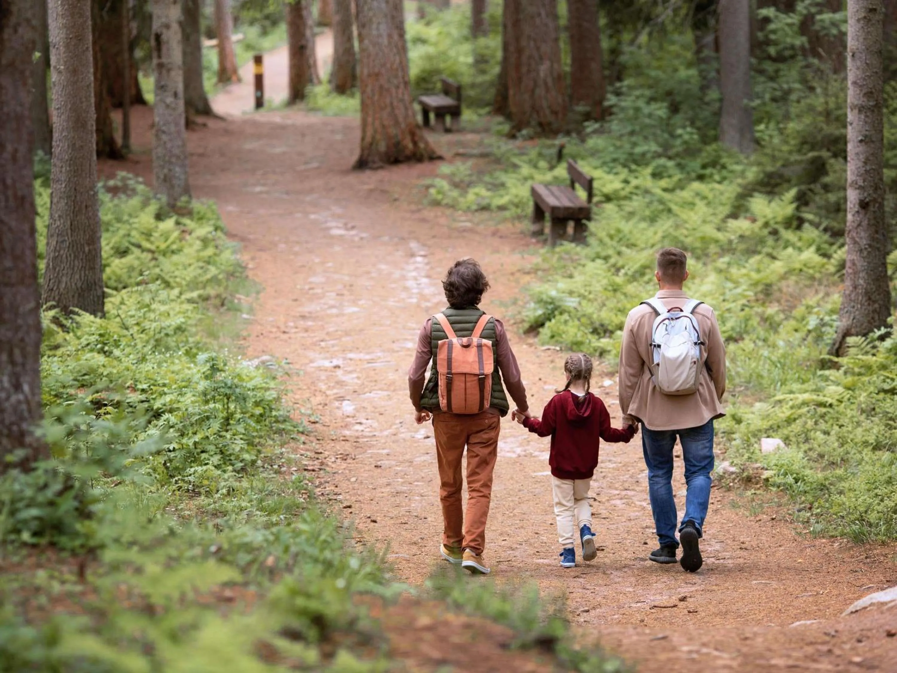 Other in Novotel Rouen Sud Zenith Parc Expo