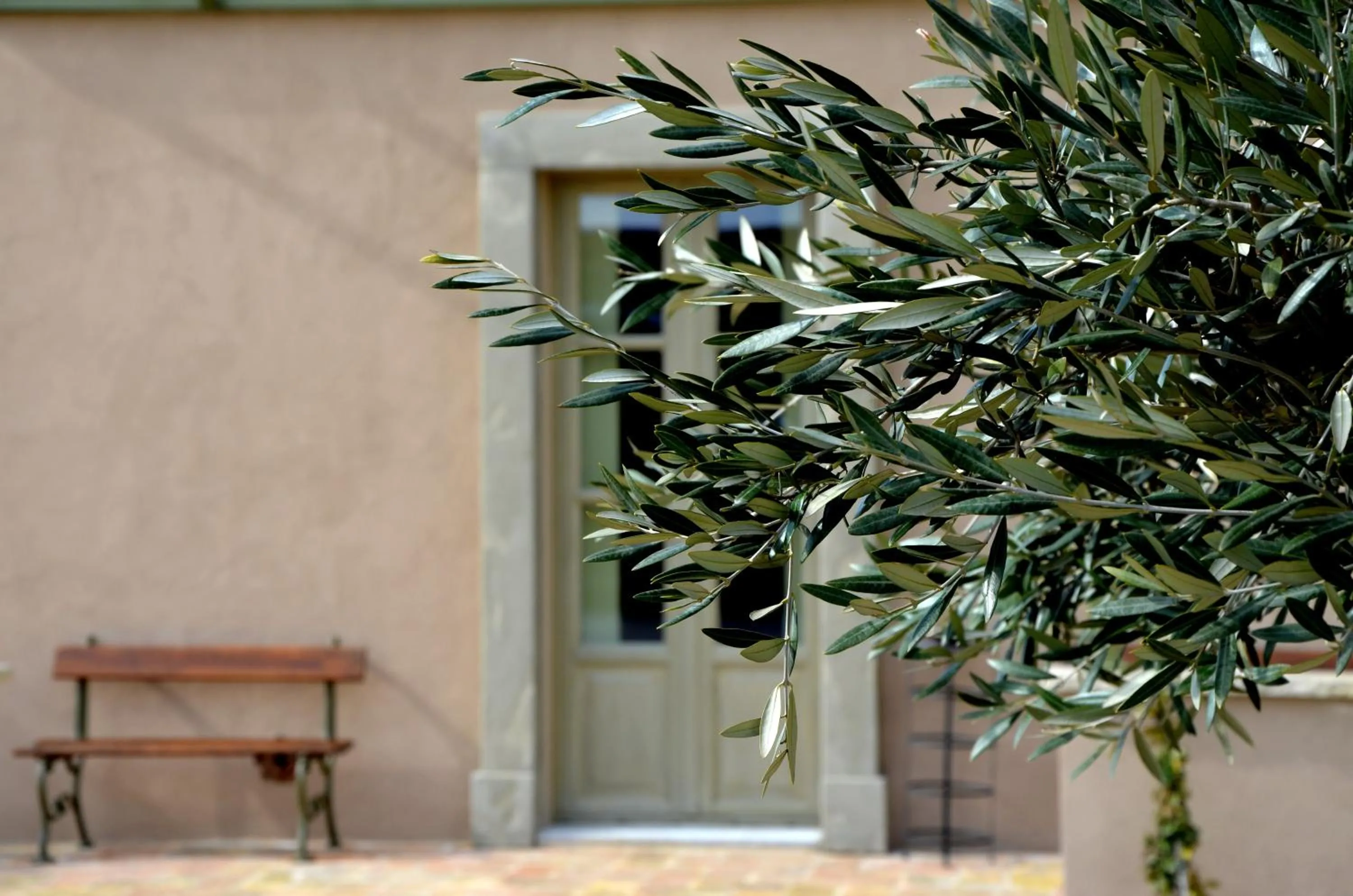 Day in Prime Alture Wine Resort