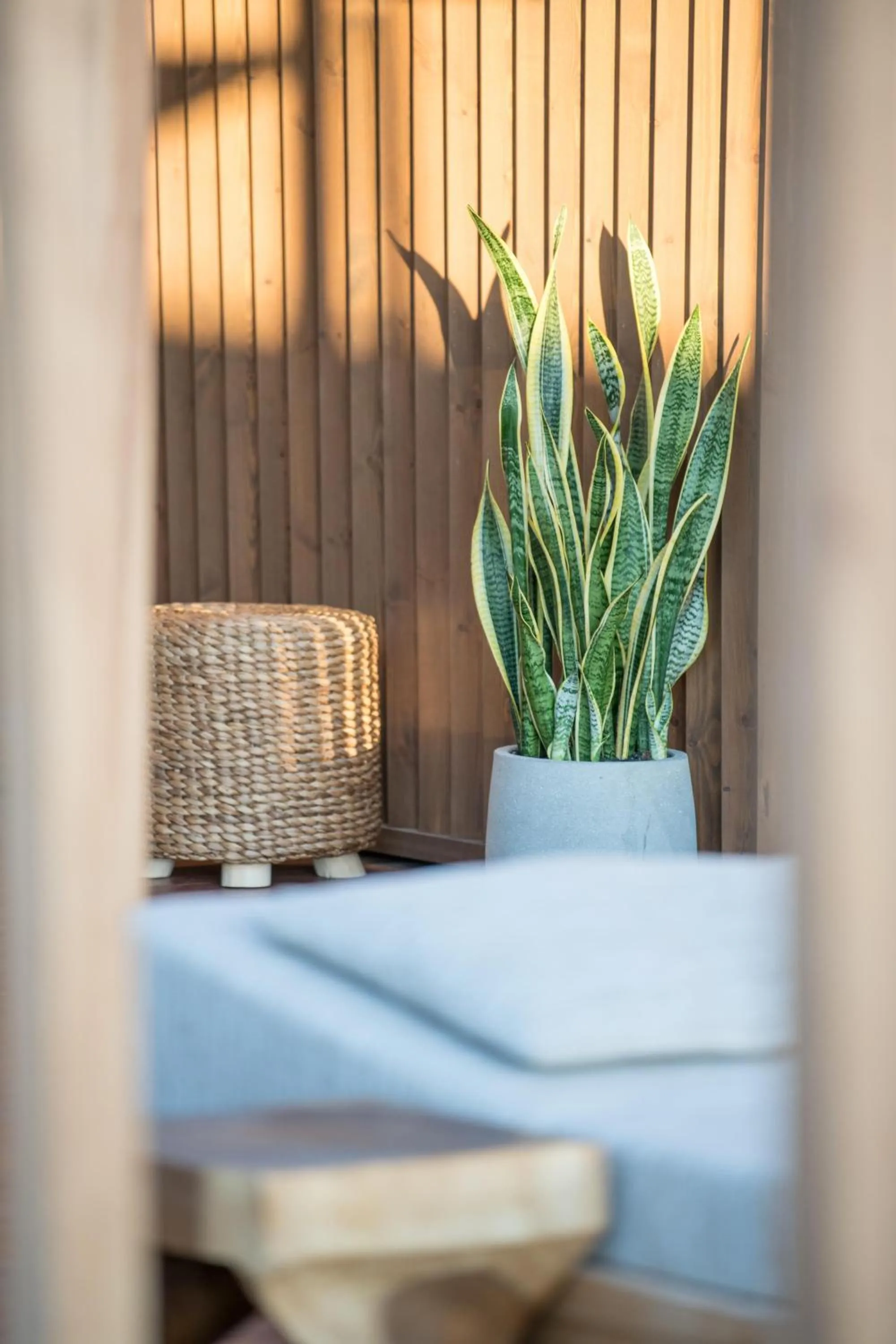 Swimming pool in AKASHA Beach Hotel & Spa