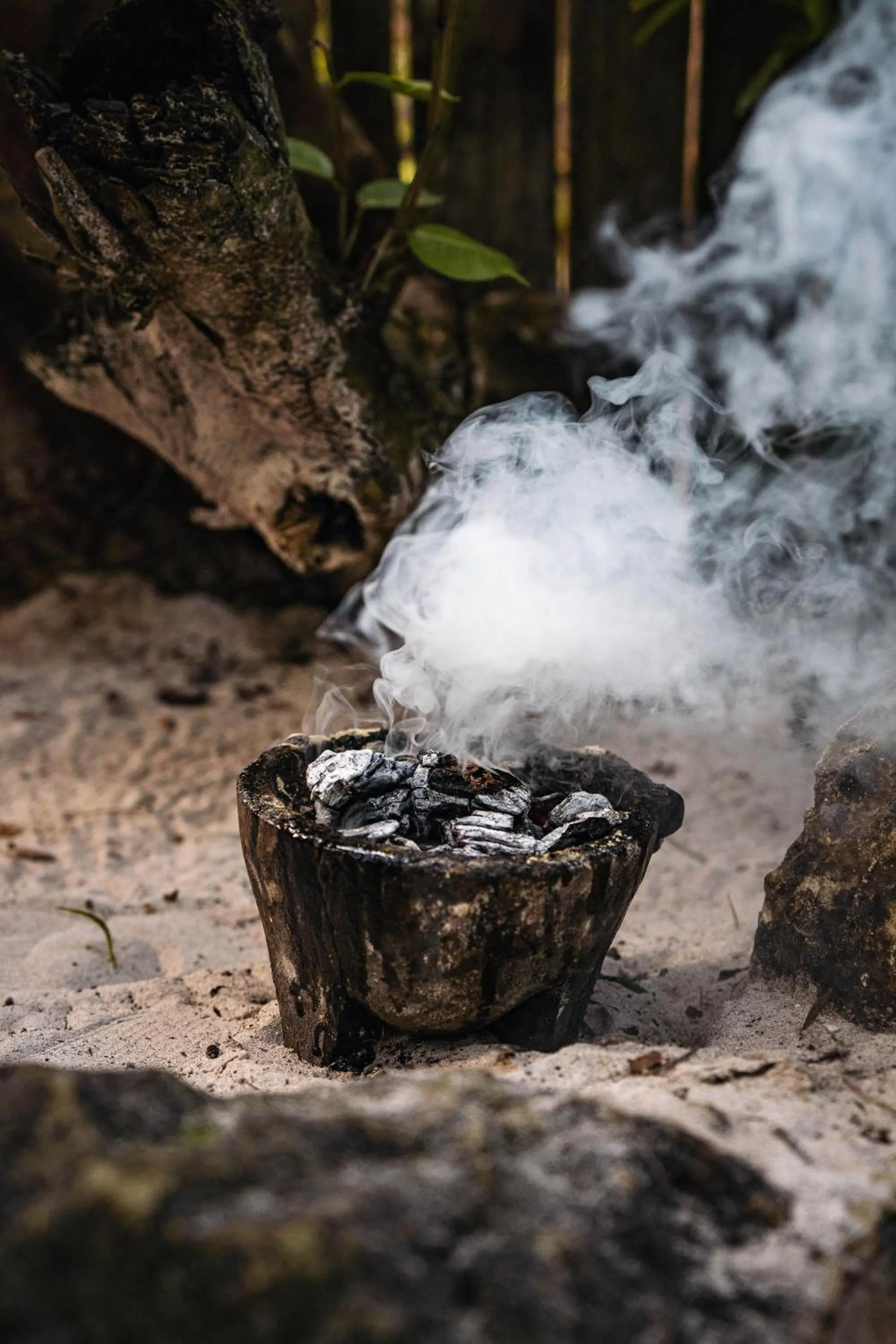 Area and facilities in NEST Tulum