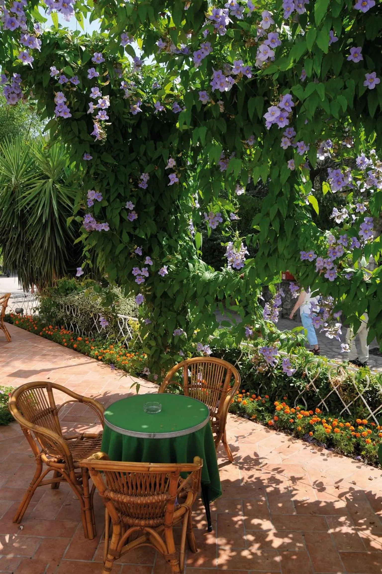 Balcony/Terrace in Hotel Biancamaria