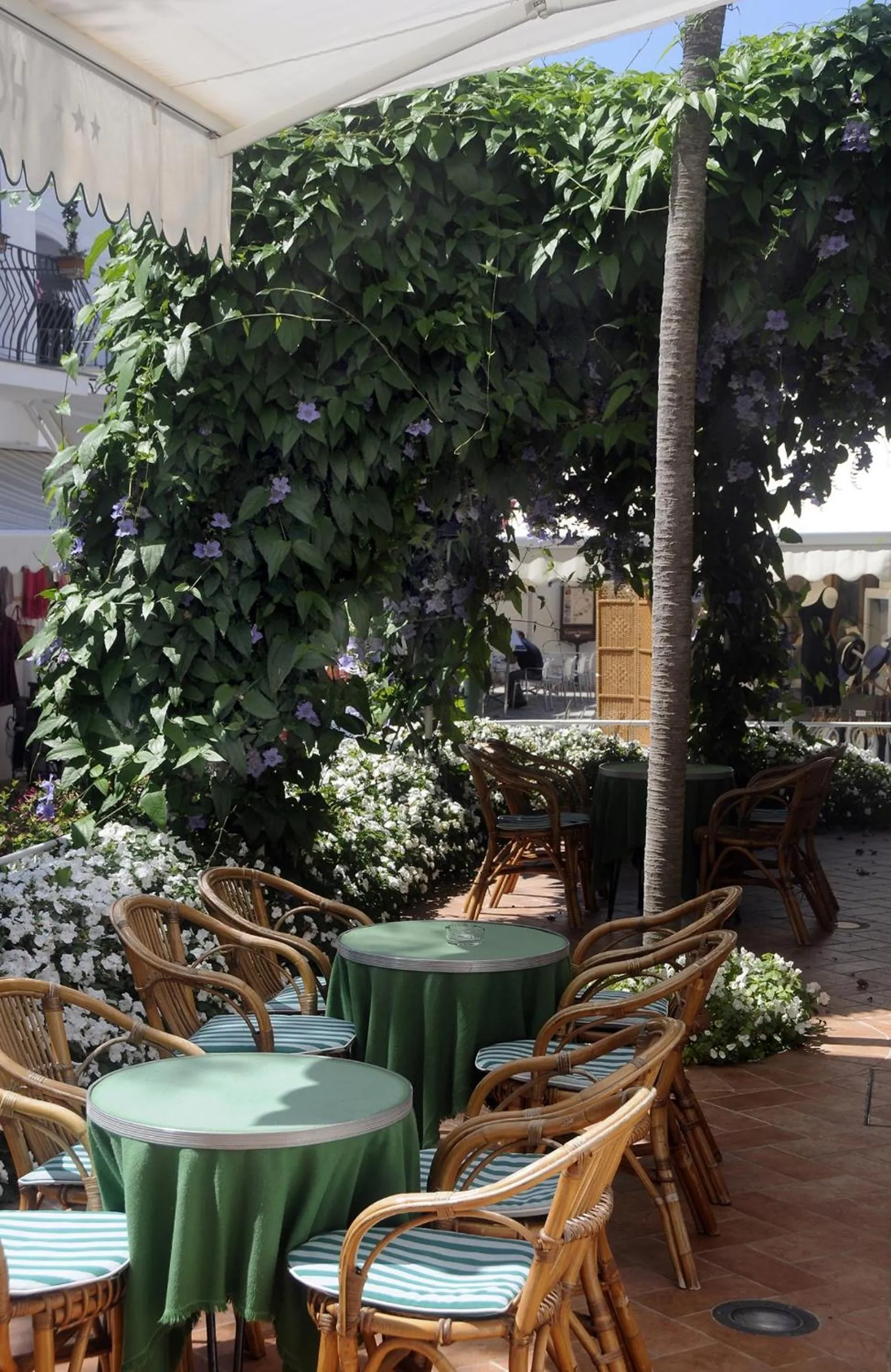 Balcony/Terrace in Hotel Biancamaria