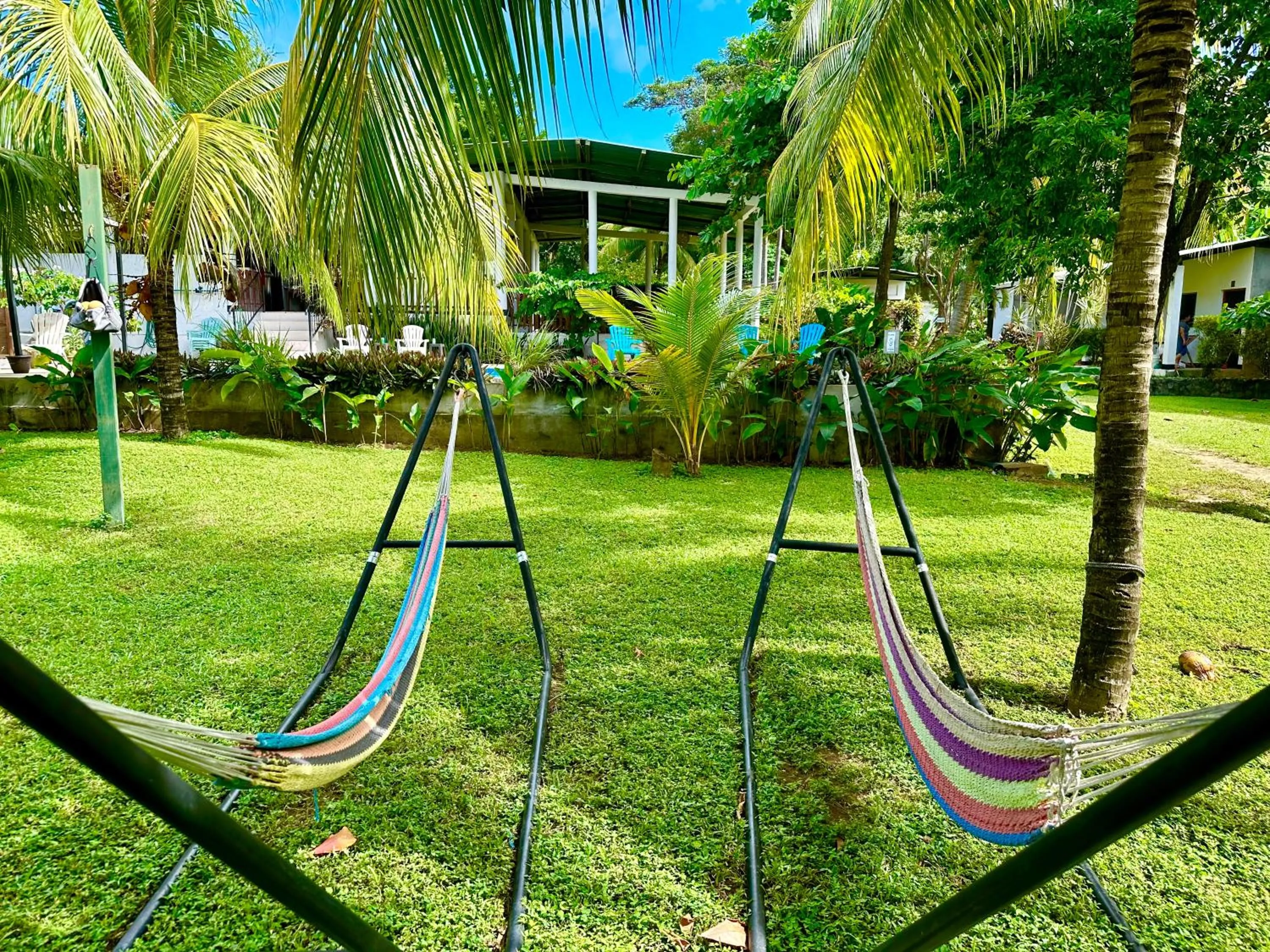 Garden in Hospedaje Soma