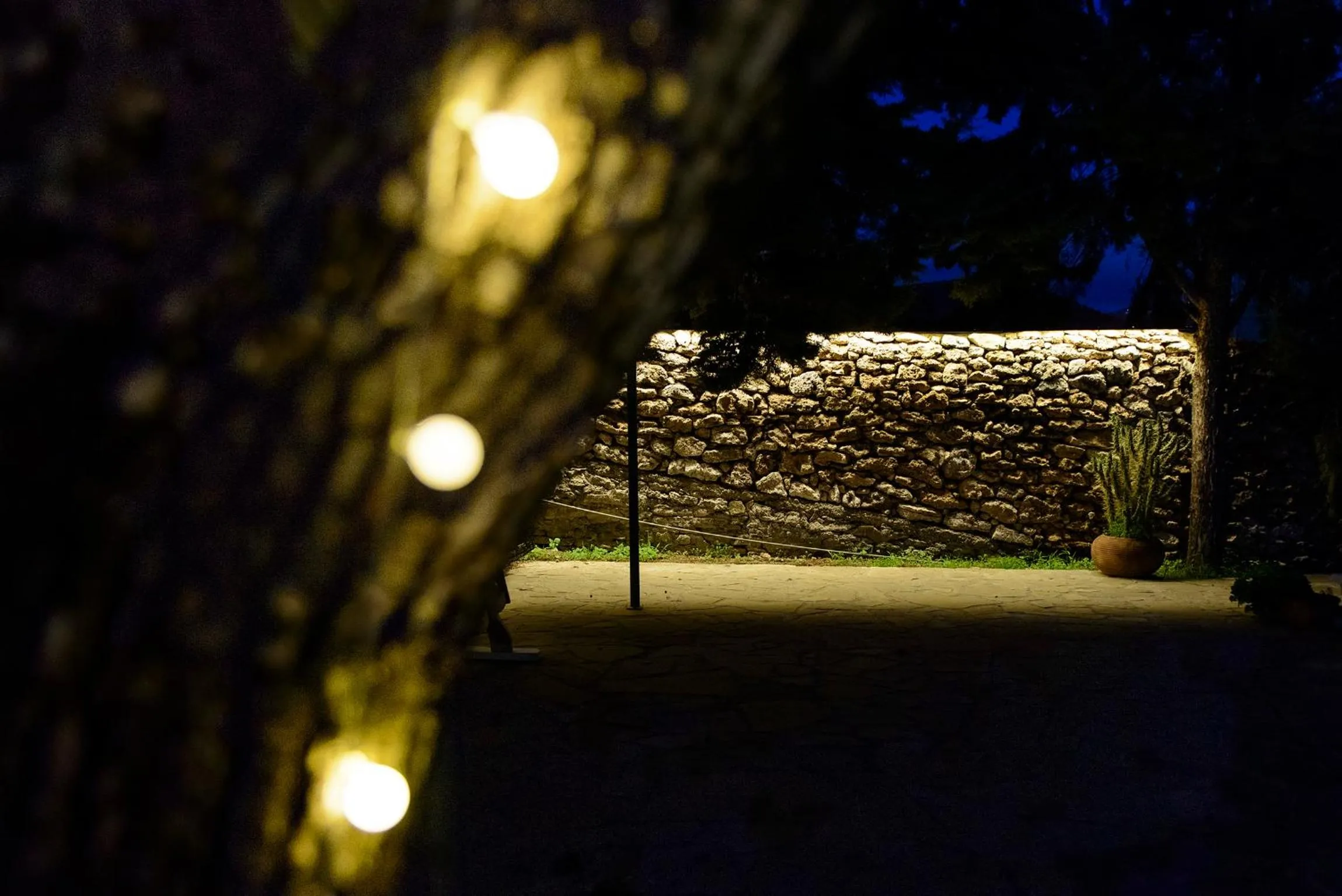 Area and facilities in Gli Aranci