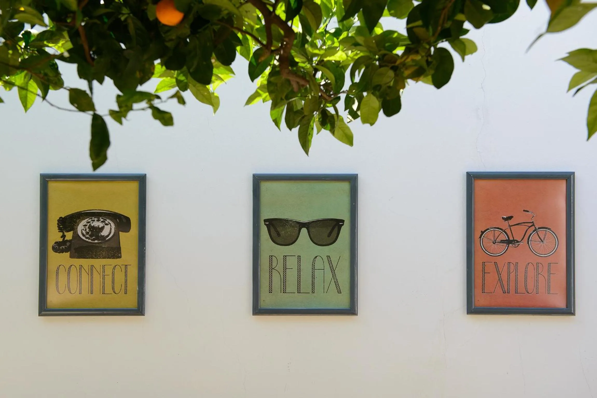 Garden in Gli Aranci