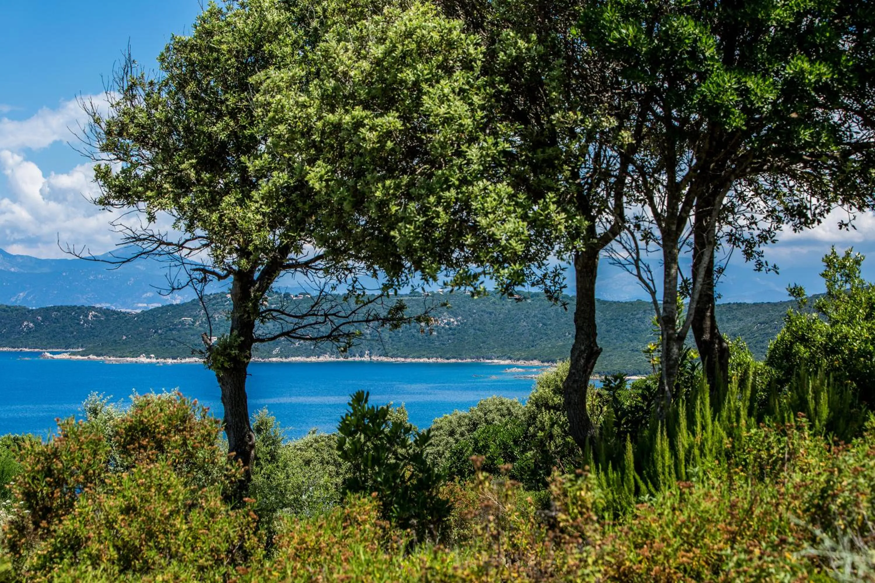 Nearby landmark in Sofitel Golfe d'Ajaccio Thalassa Sea & Spa