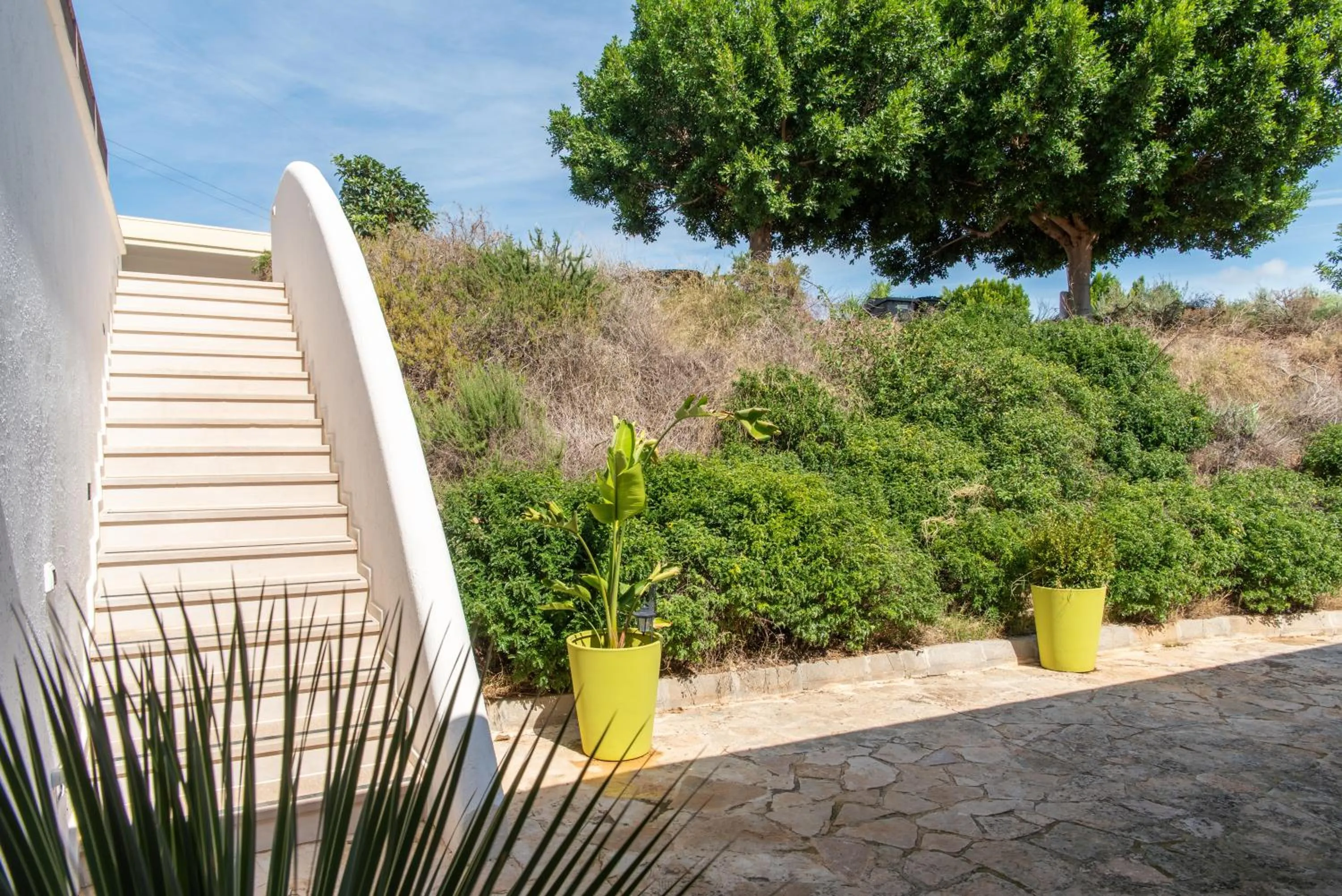 Garden view in B&B Tenuta Barone